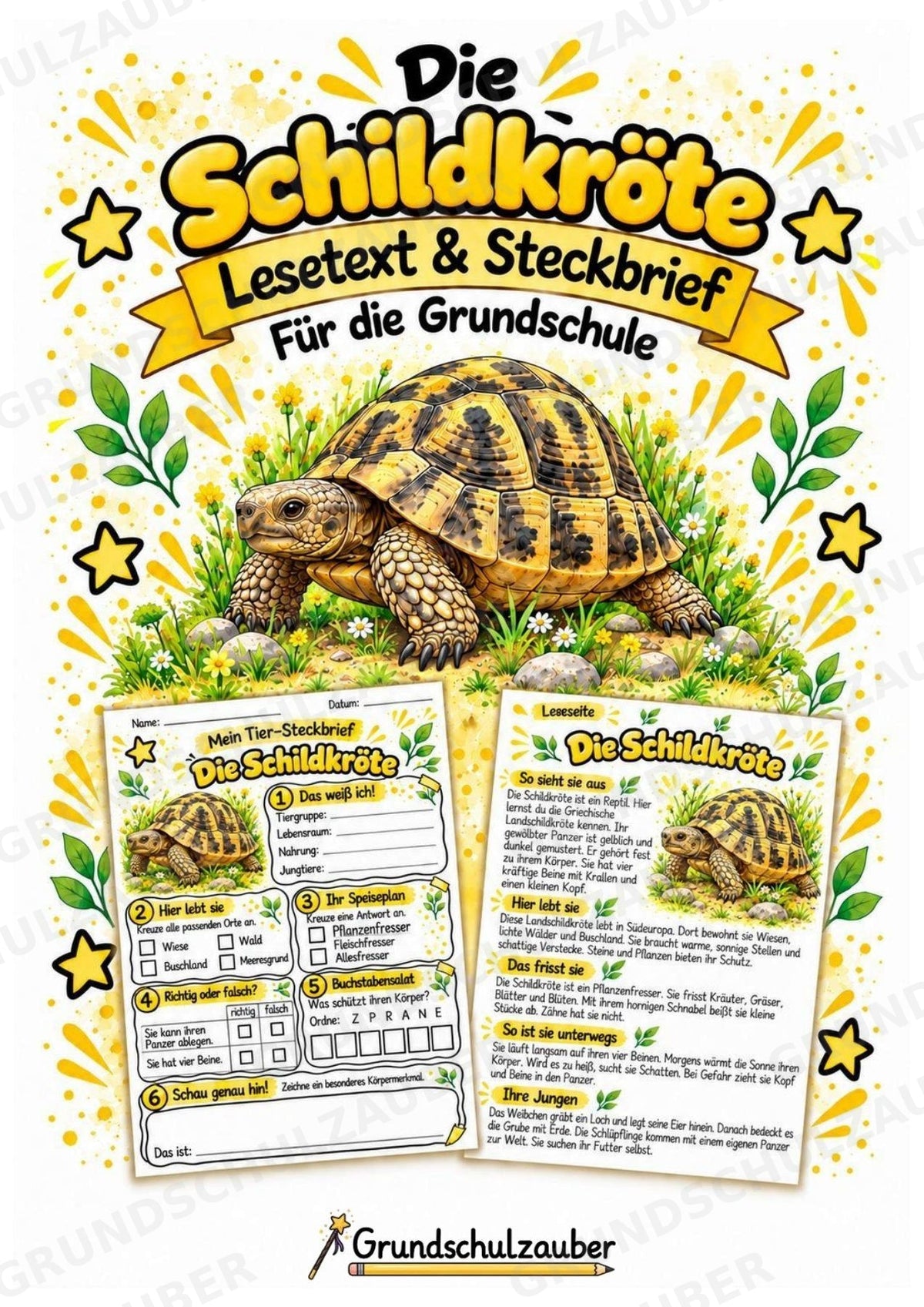 Schildkröte - Lesetext & Steckbrief | Sachunterricht Tiere Grundschule – Cover