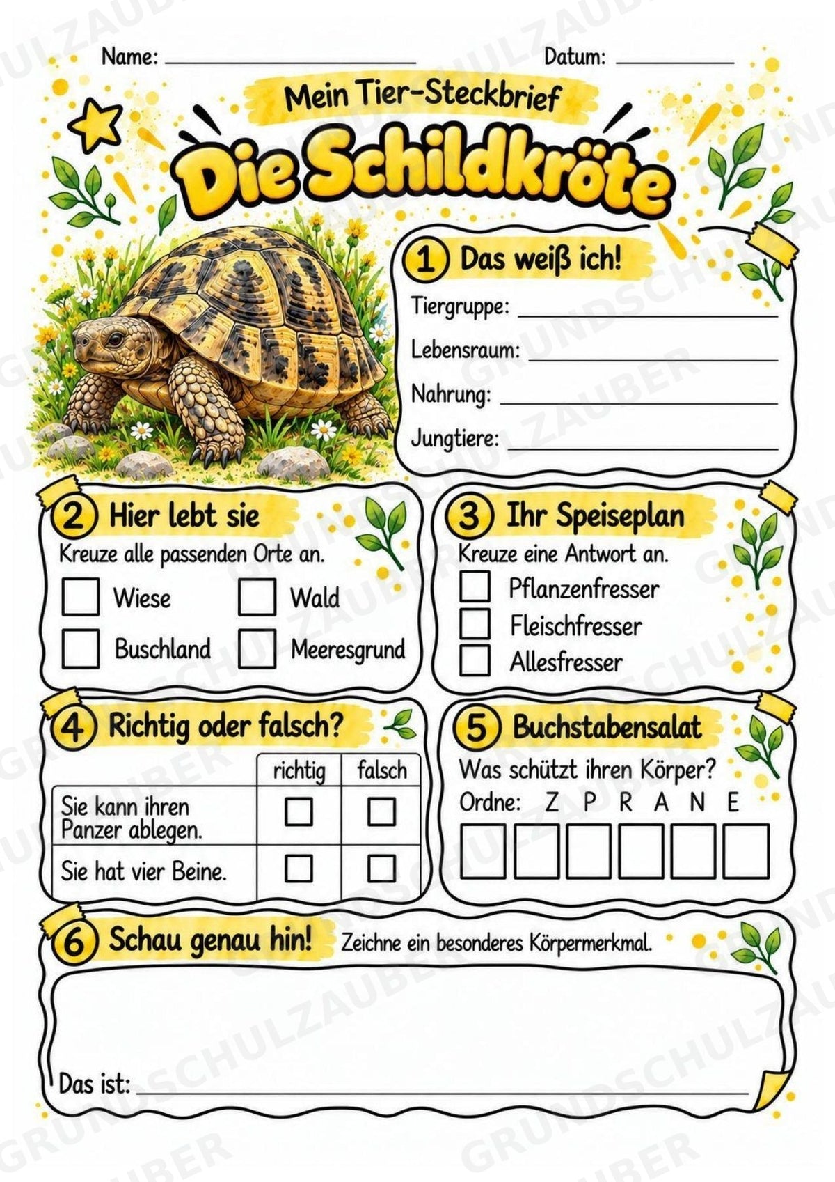 Schildkröte - Lesetext & Steckbrief | Sachunterricht Tiere Grundschule – Materialseite 3