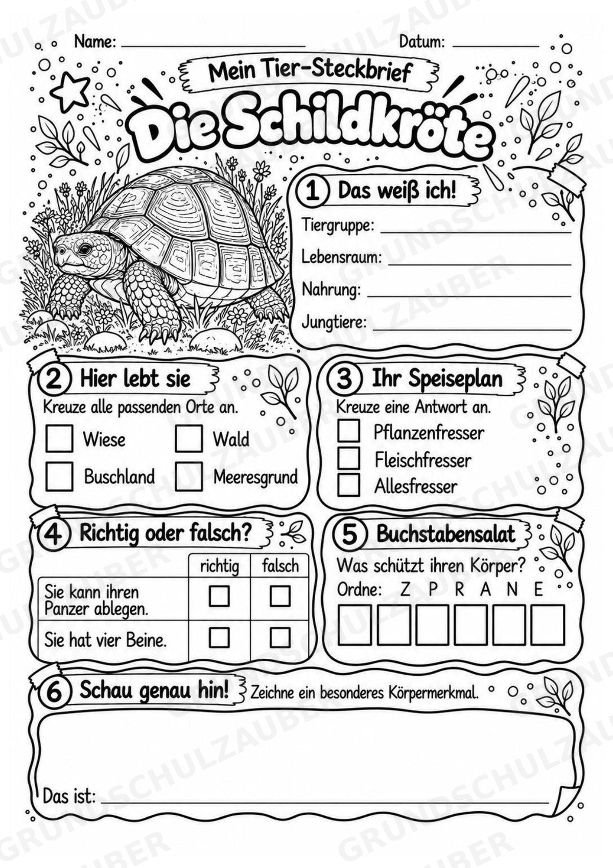 Schildkröte - Lesetext & Steckbrief | Sachunterricht Tiere Grundschule – Materialseite 4