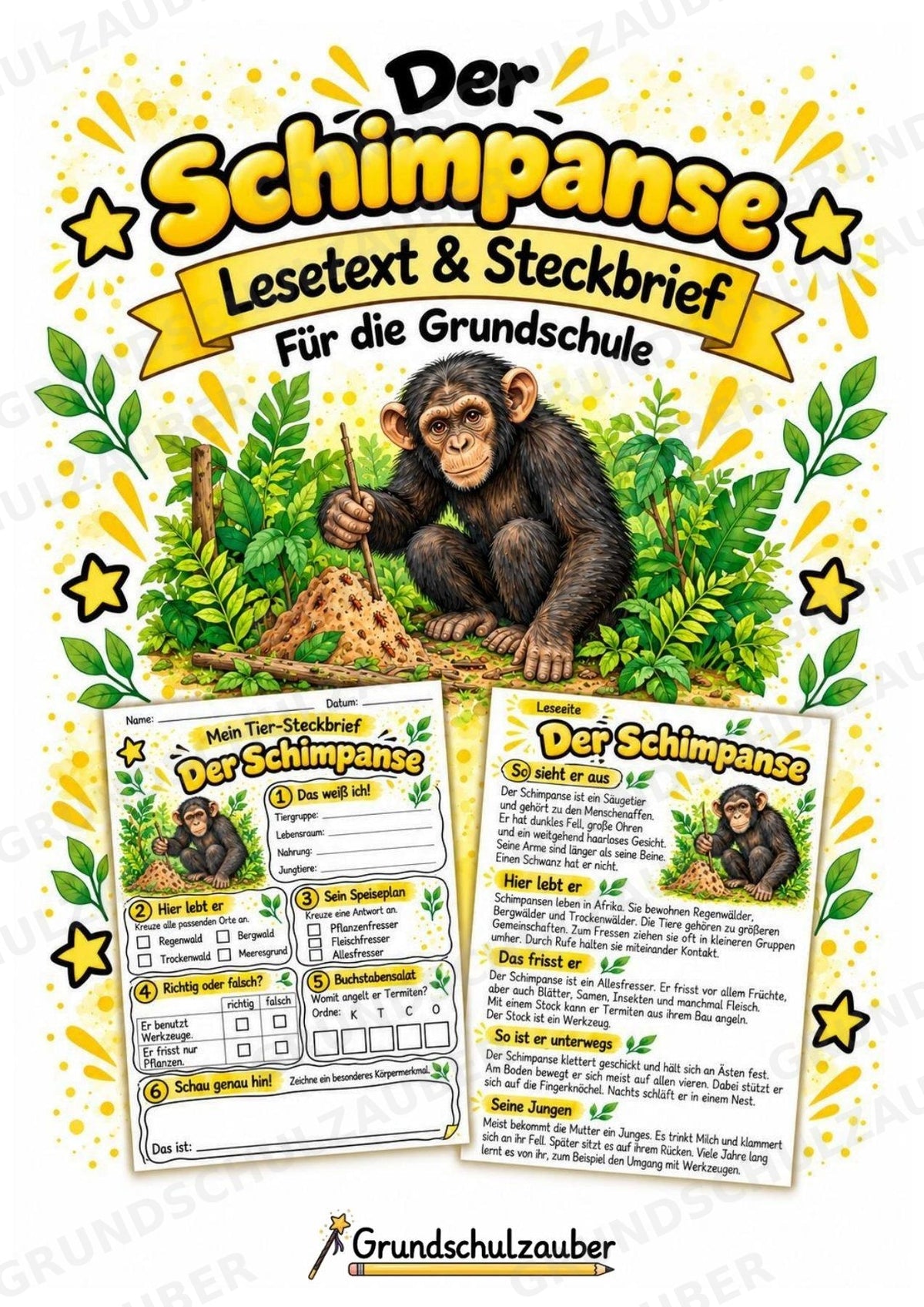 Schimpanse - Lesetext & Steckbrief | Sachunterricht Tiere Grundschule – Cover