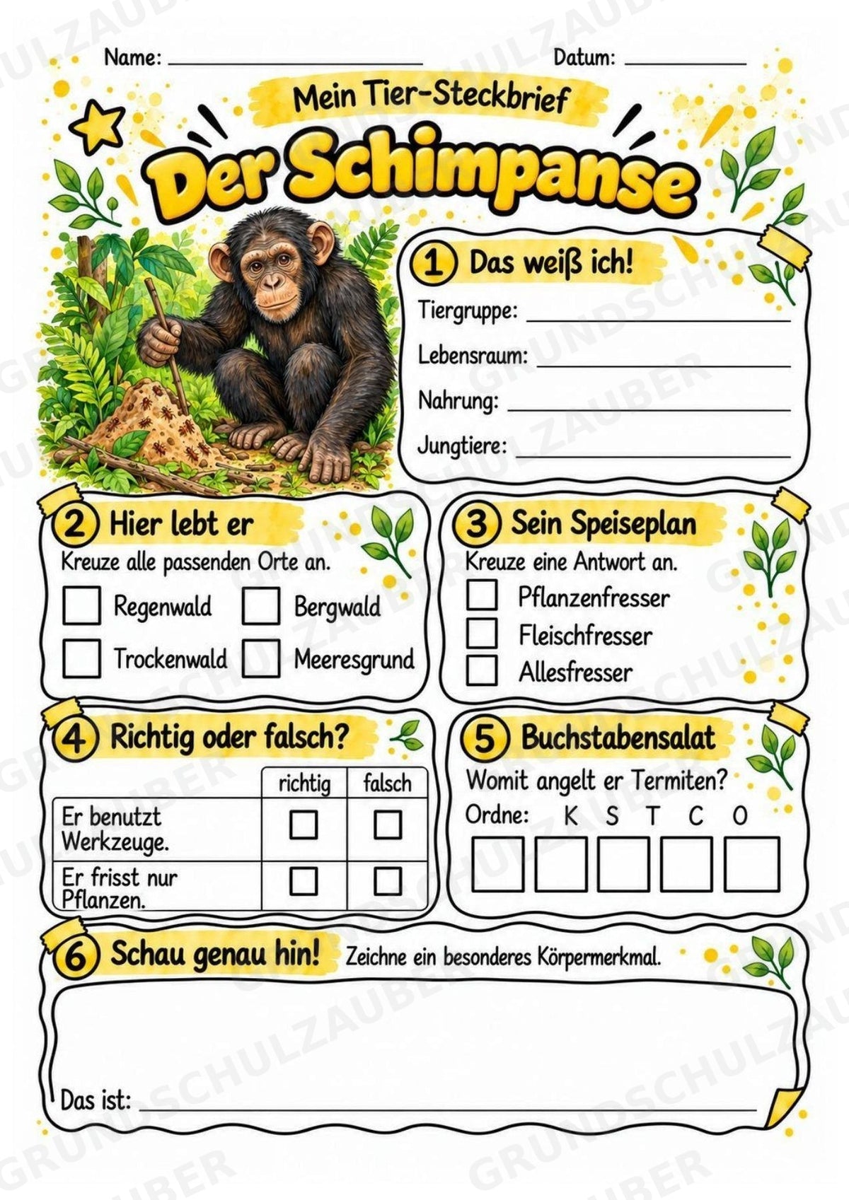 Schimpanse - Lesetext & Steckbrief | Sachunterricht Tiere Grundschule – Materialseite 3