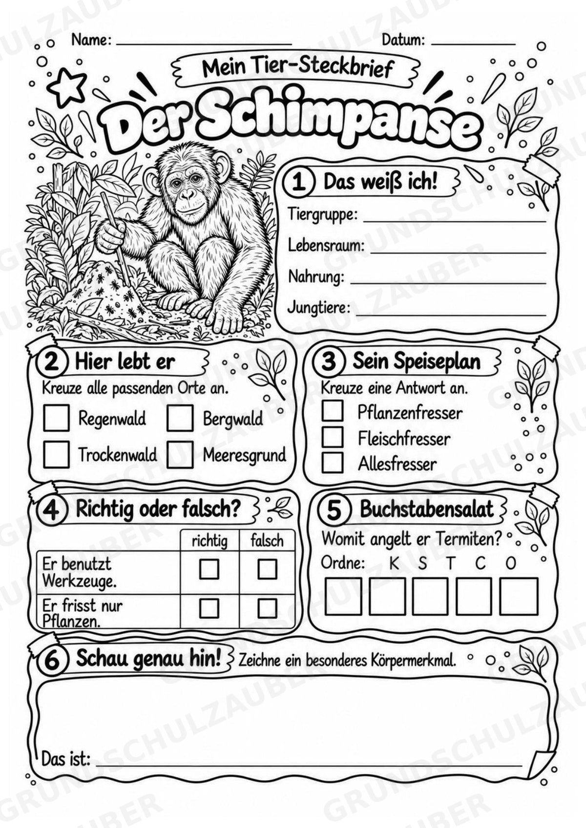 Schimpanse - Lesetext & Steckbrief | Sachunterricht Tiere Grundschule – Materialseite 4