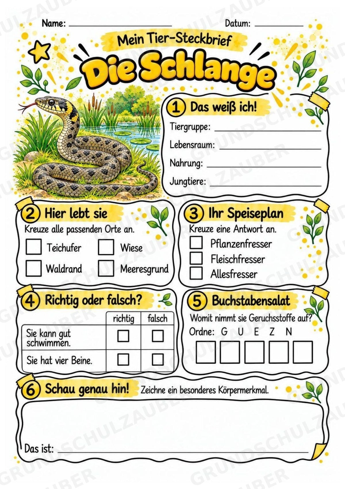 Schlange - Lesetext & Steckbrief | Sachunterricht Tiere Grundschule – Materialseite 3