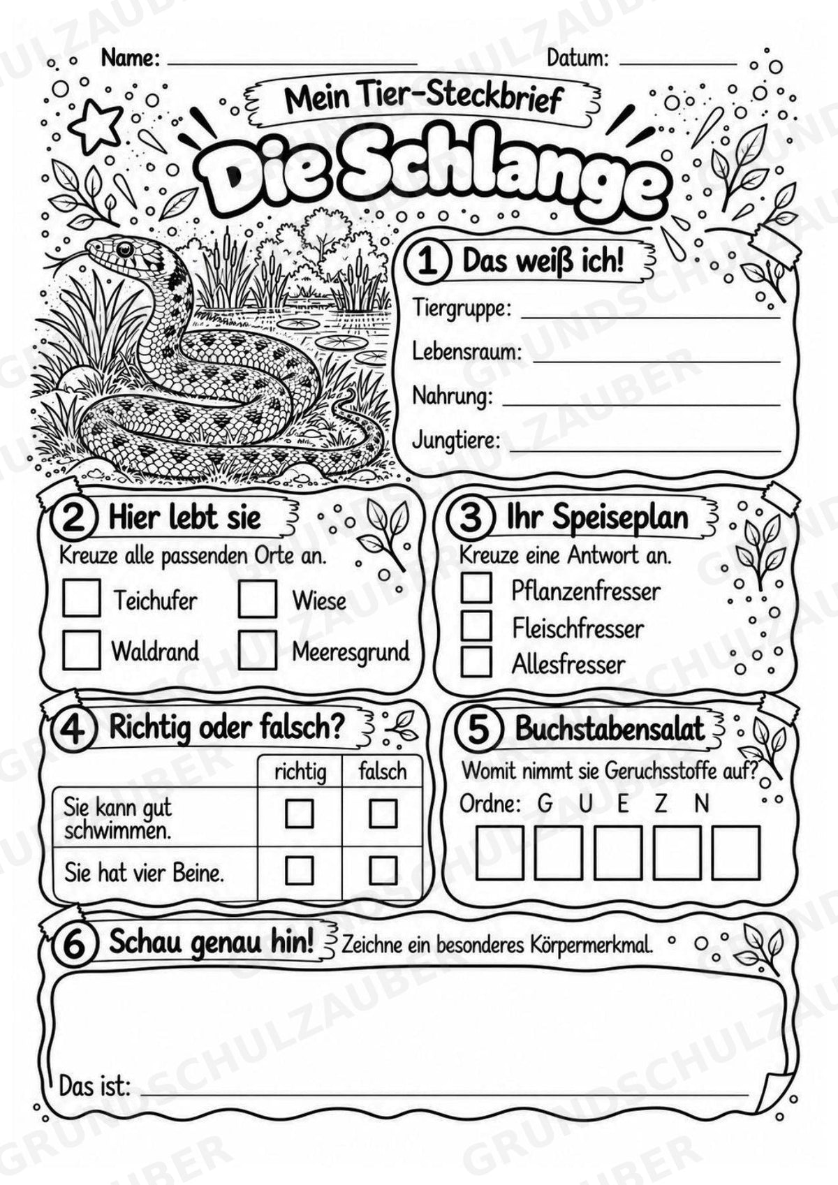 Schlange - Lesetext & Steckbrief | Sachunterricht Tiere Grundschule – Materialseite 4