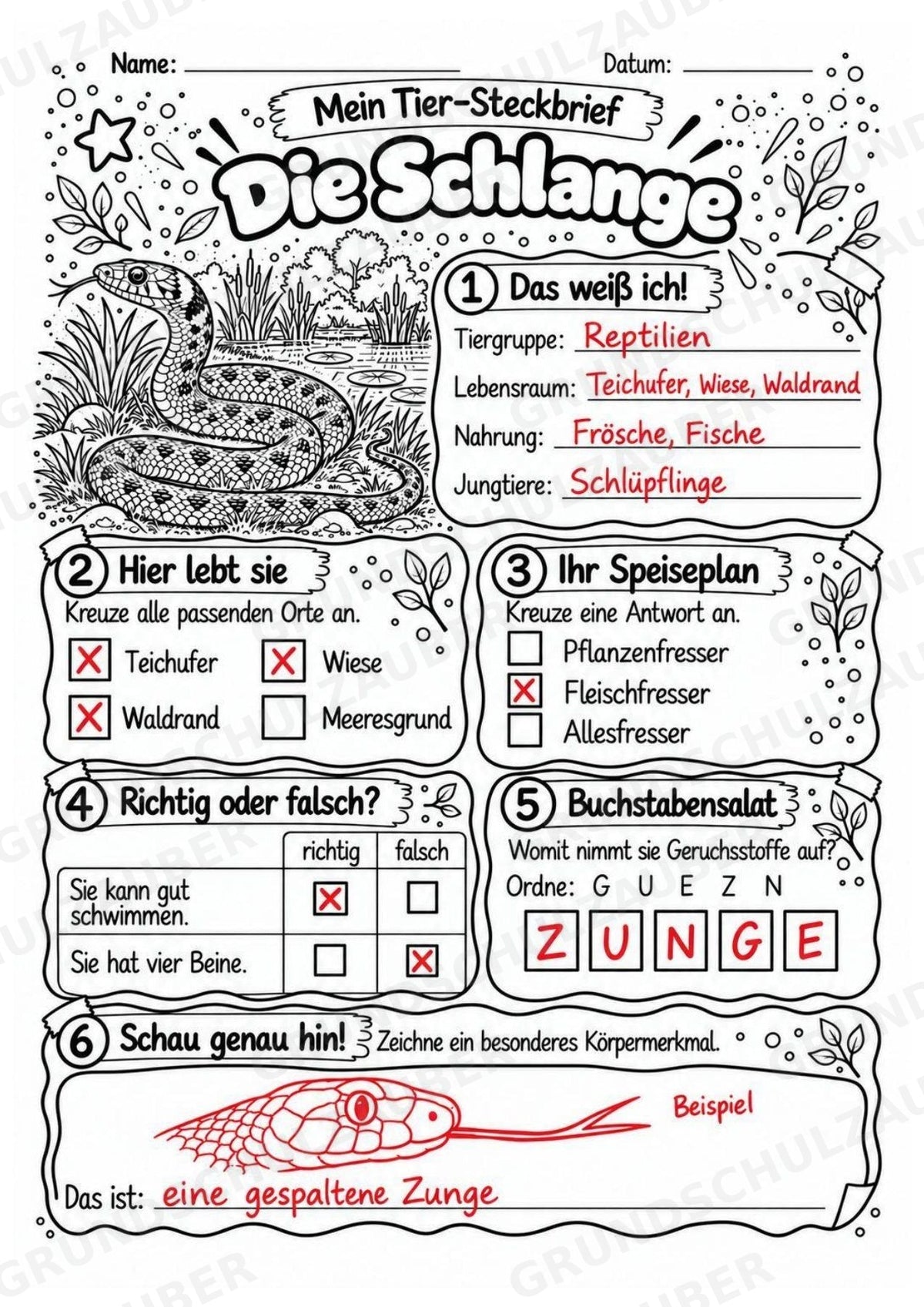 Schlange - Lesetext & Steckbrief | Sachunterricht Tiere Grundschule – Materialseite 5
