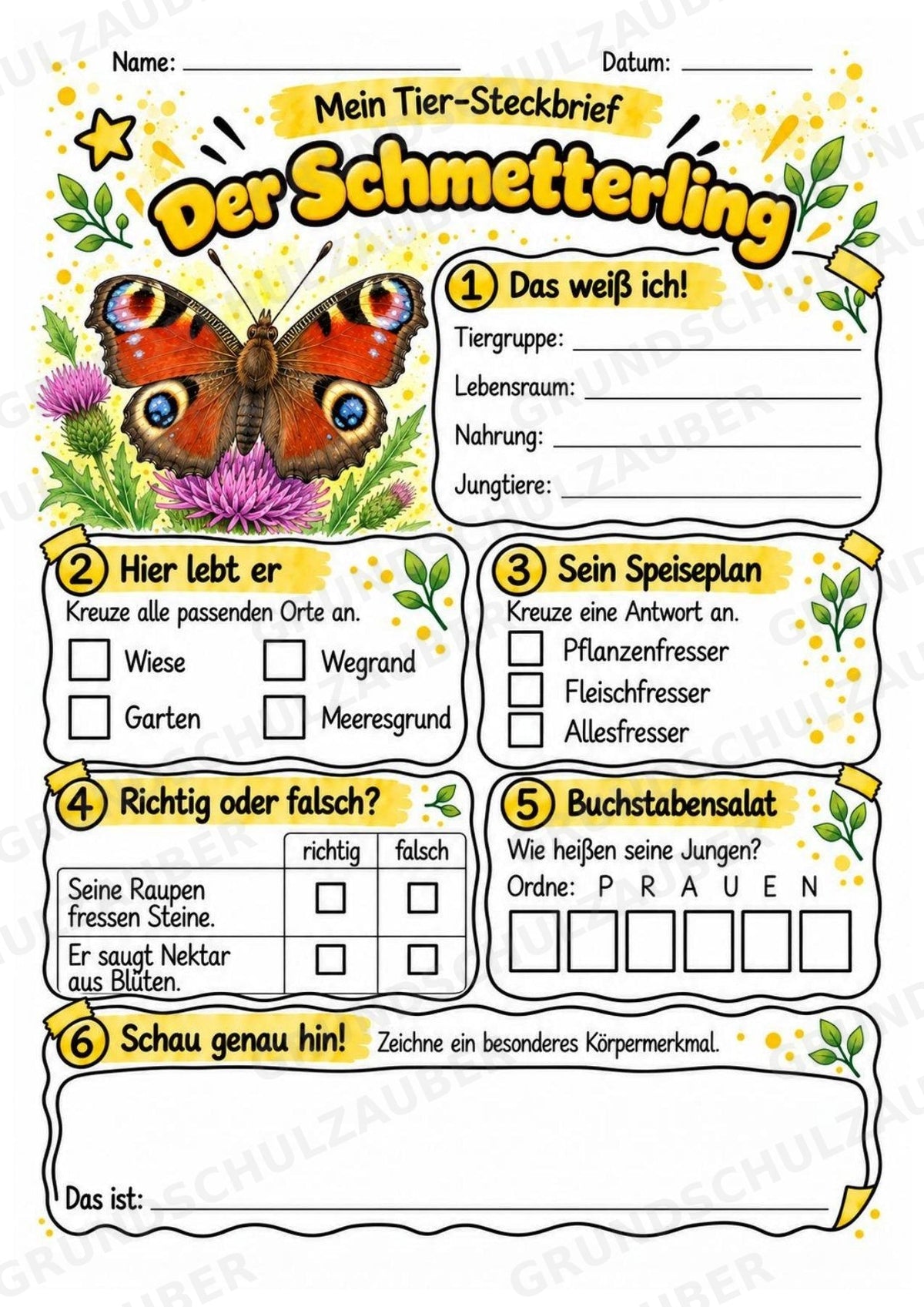 Schmetterling - Lesetext & Steckbrief | Sachunterricht Tiere Grundschule – Materialseite 3