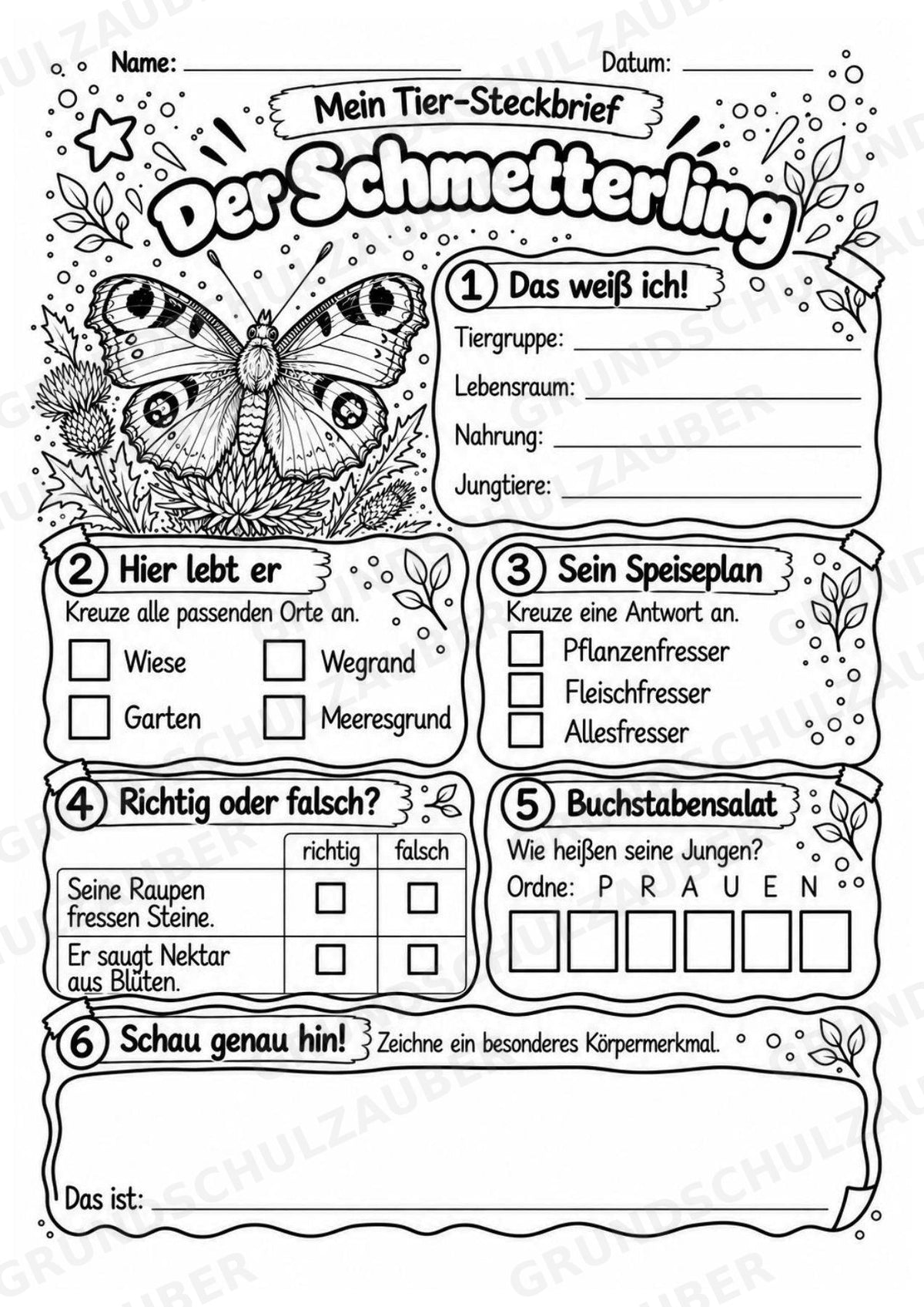 Schmetterling - Lesetext & Steckbrief | Sachunterricht Tiere Grundschule – Materialseite 4