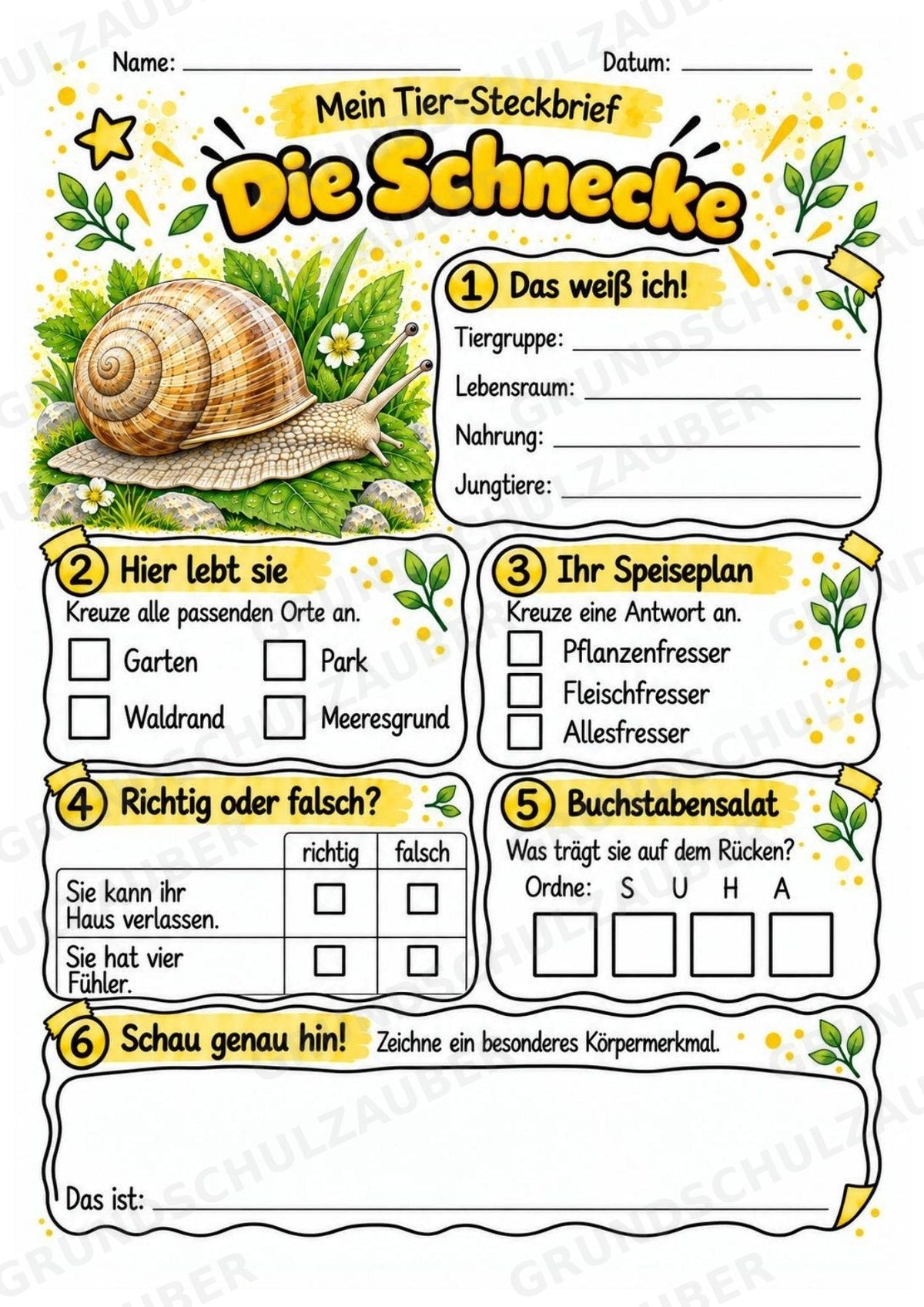 Schnecke - Lesetext & Steckbrief | Sachunterricht Tiere Grundschule – Materialseite 3
