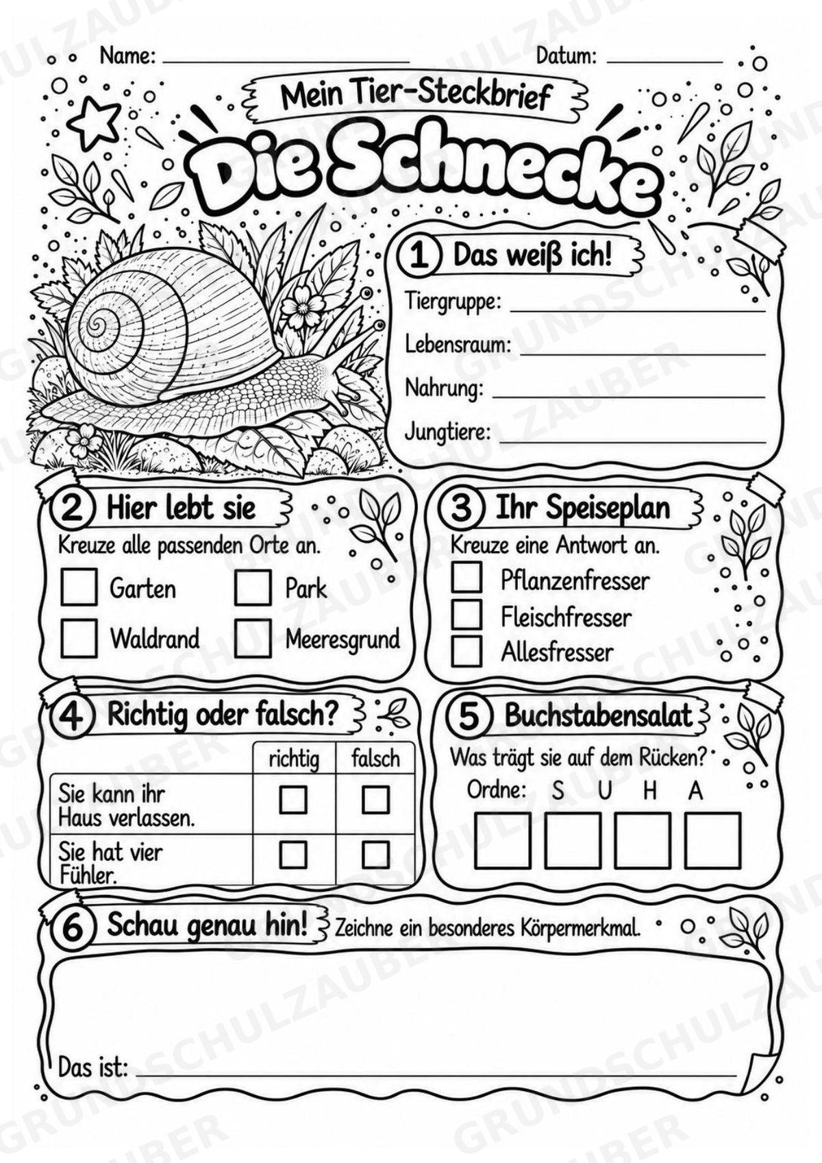 Schnecke - Lesetext & Steckbrief | Sachunterricht Tiere Grundschule – Materialseite 4