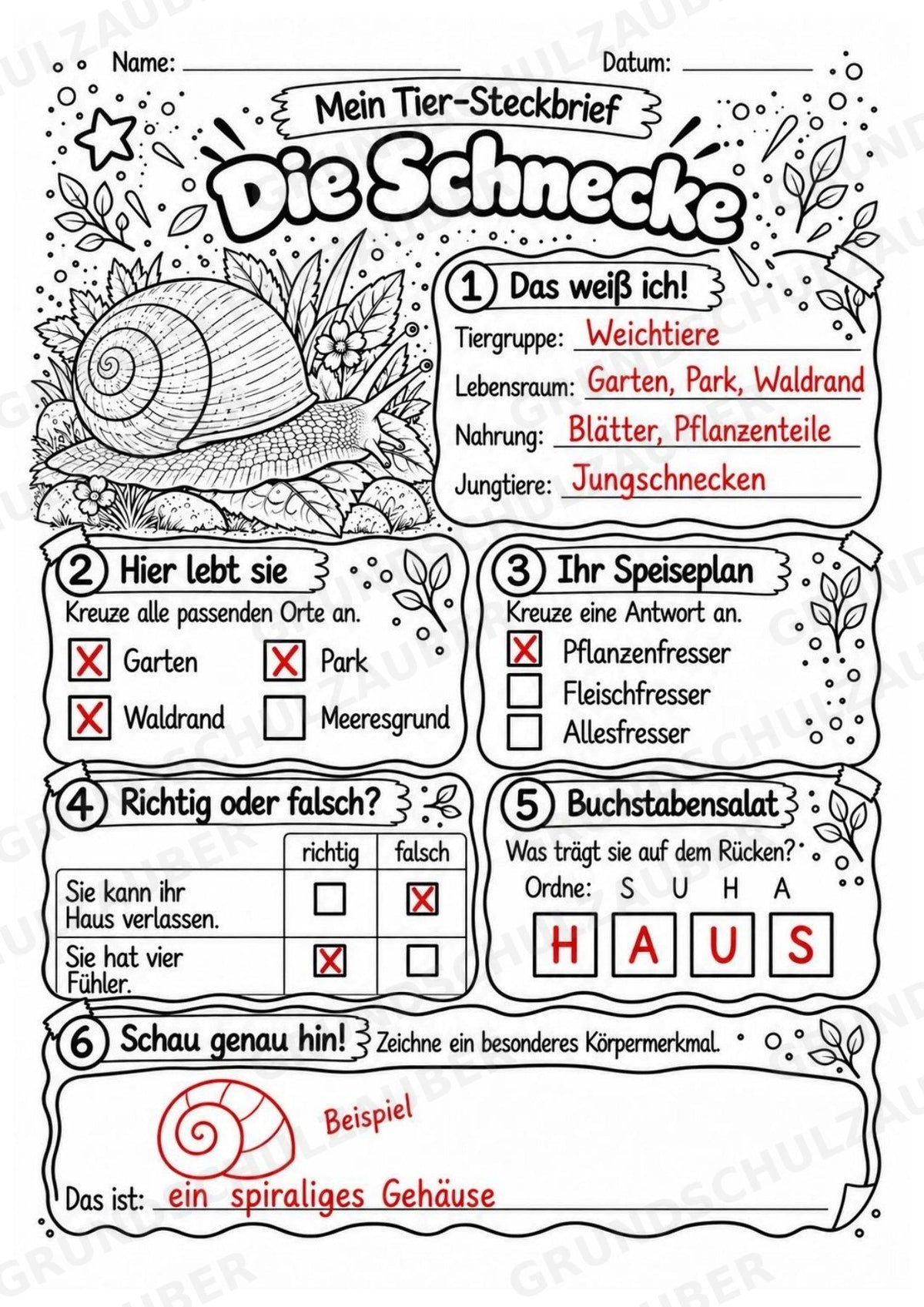 Schnecke - Lesetext & Steckbrief | Sachunterricht Tiere Grundschule – Materialseite 5