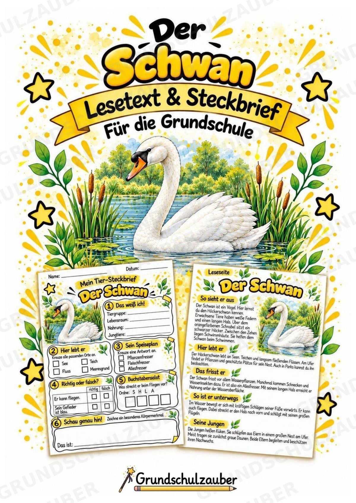 Schwan - Lesetext & Steckbrief | Sachunterricht Tiere Grundschule – Cover