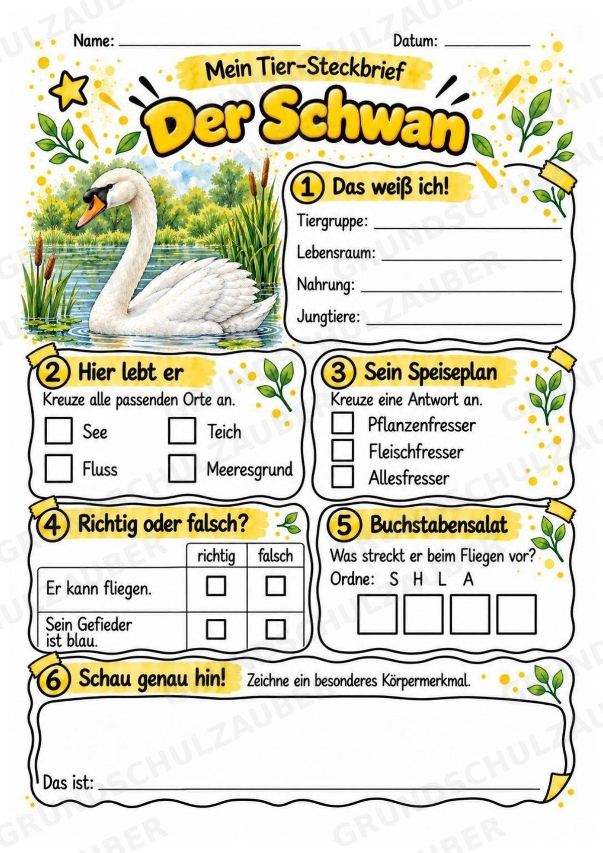 Schwan - Lesetext & Steckbrief | Sachunterricht Tiere Grundschule – Materialseite 3