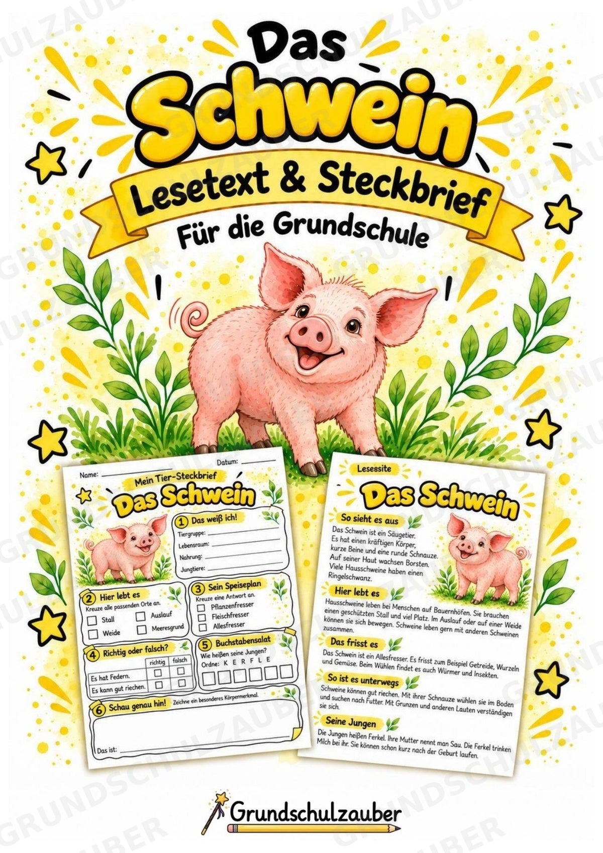 Schwein - Lesetext & Steckbrief | Sachunterricht Tiere Grundschule – Cover