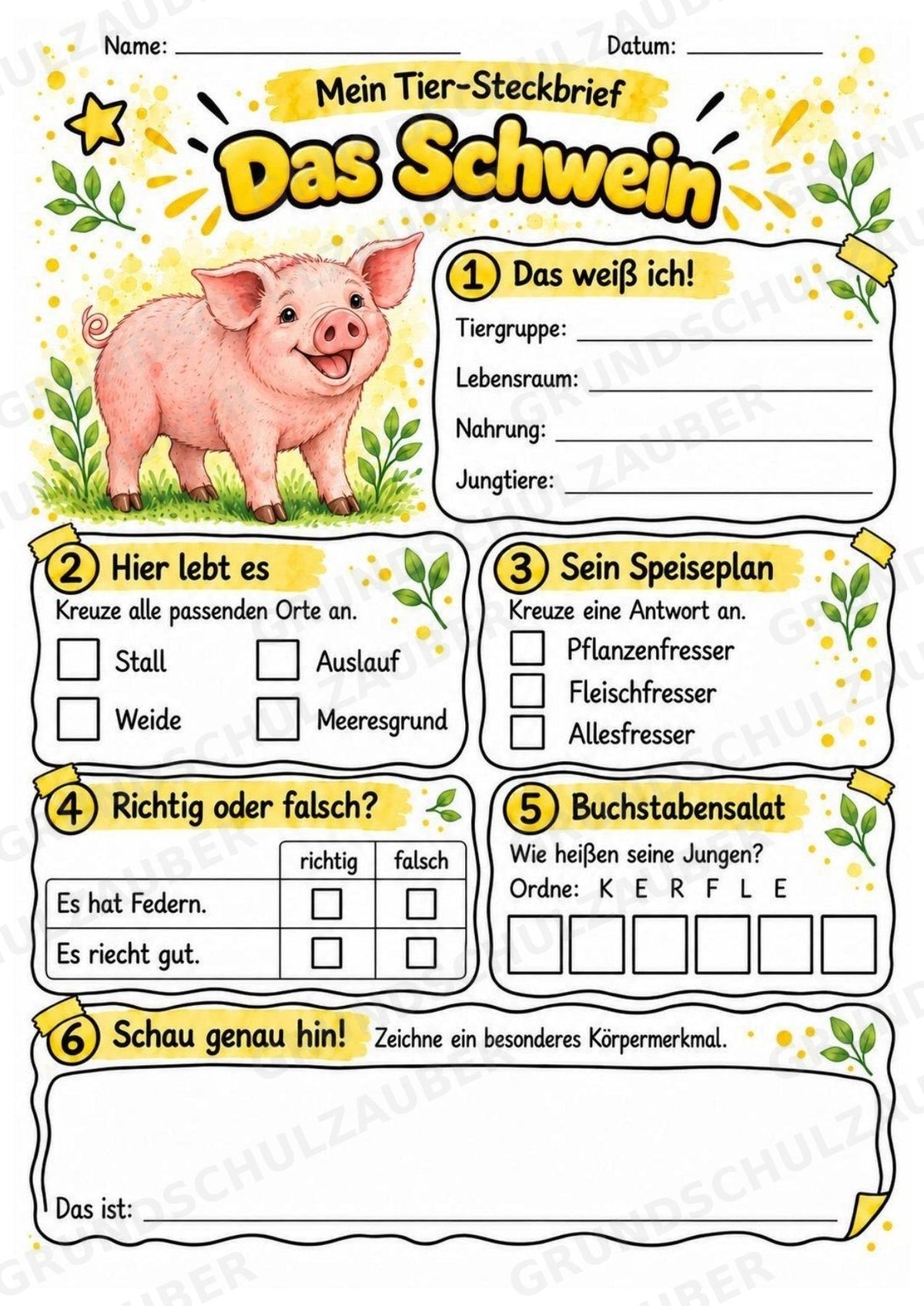 Schwein - Lesetext & Steckbrief | Sachunterricht Tiere Grundschule – Materialseite 3