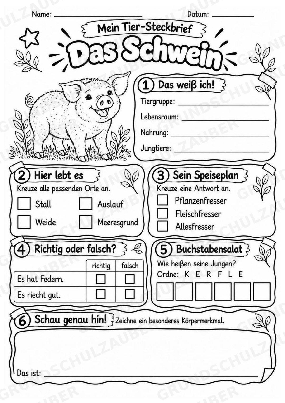 Schwein - Lesetext & Steckbrief | Sachunterricht Tiere Grundschule – Materialseite 4