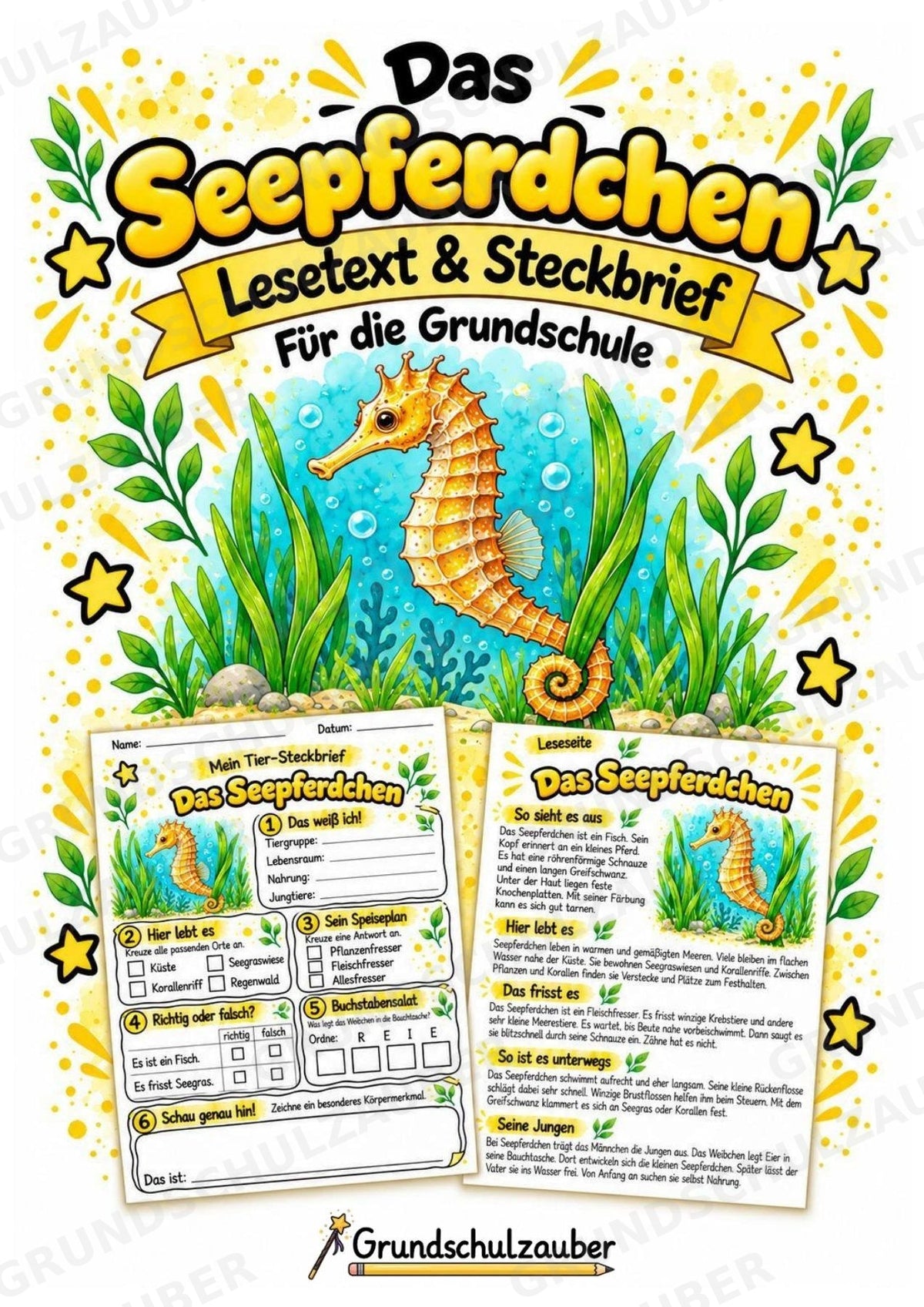 Seepferdchen - Lesetext & Steckbrief | Sachunterricht Tiere Grundschule – Cover