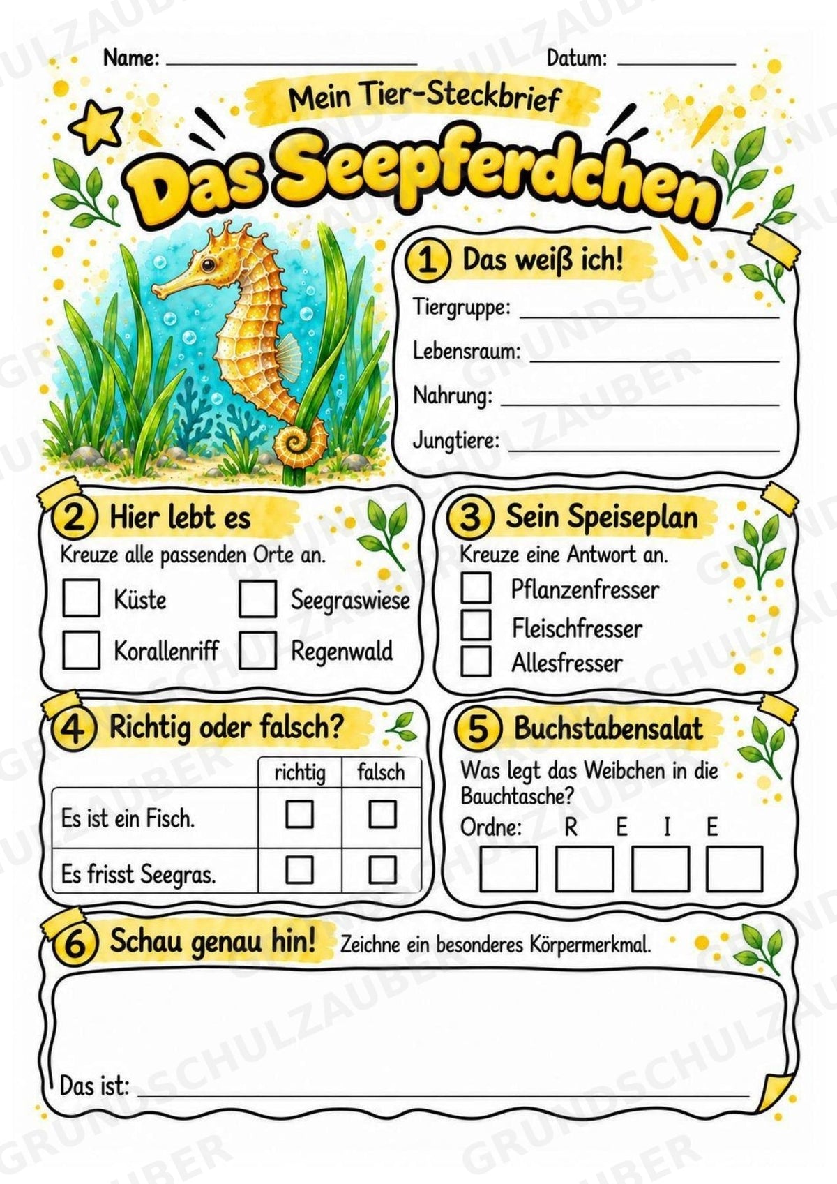 Seepferdchen - Lesetext & Steckbrief | Sachunterricht Tiere Grundschule – Materialseite 3