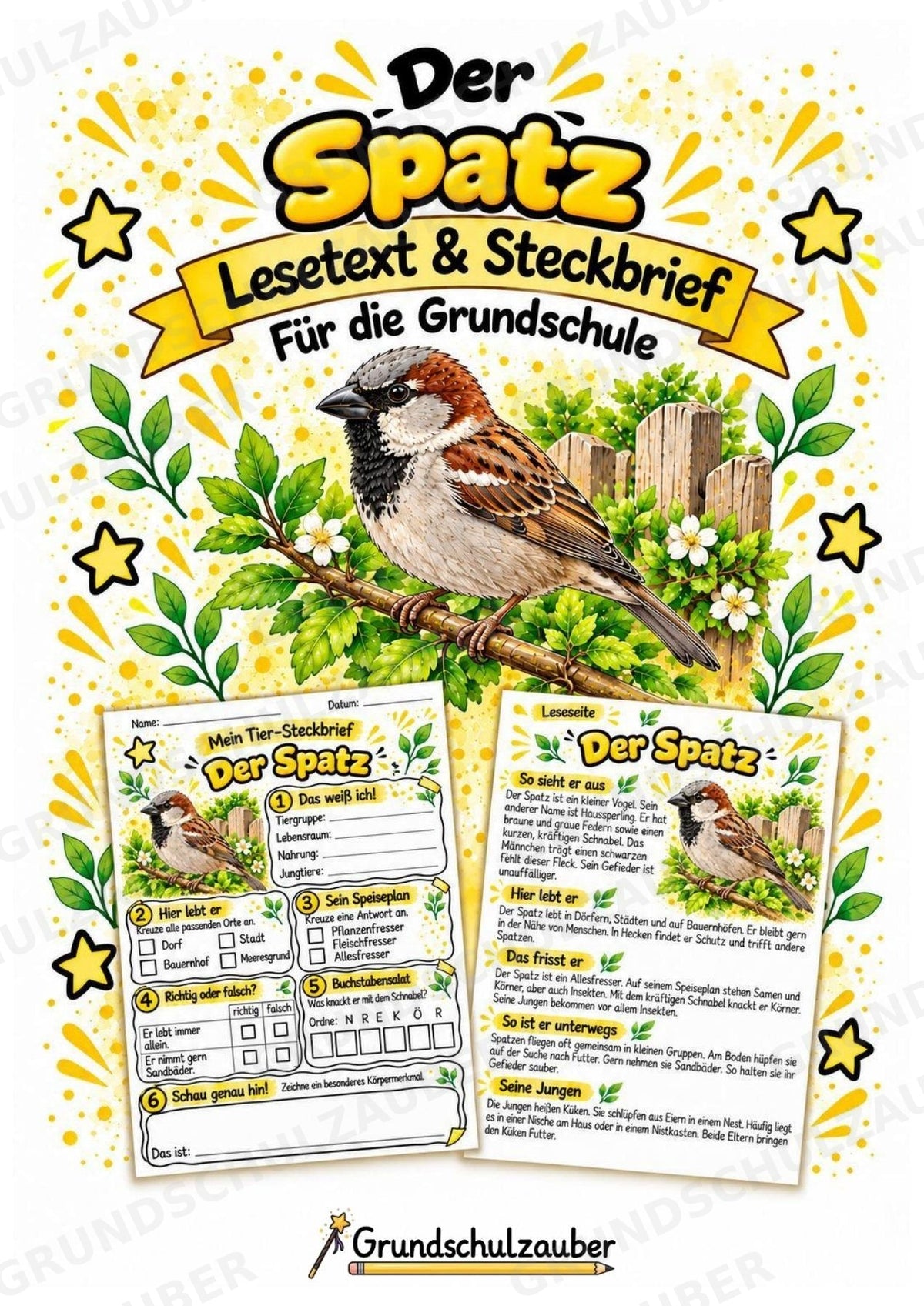 Spatz - Lesetext & Steckbrief | Sachunterricht Tiere Grundschule – Cover