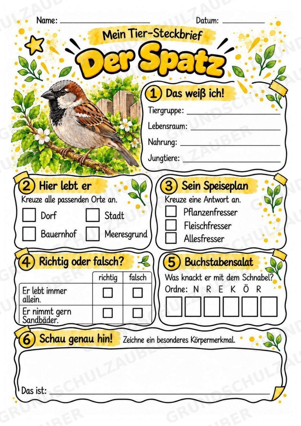 Spatz - Lesetext & Steckbrief | Sachunterricht Tiere Grundschule – Materialseite 3