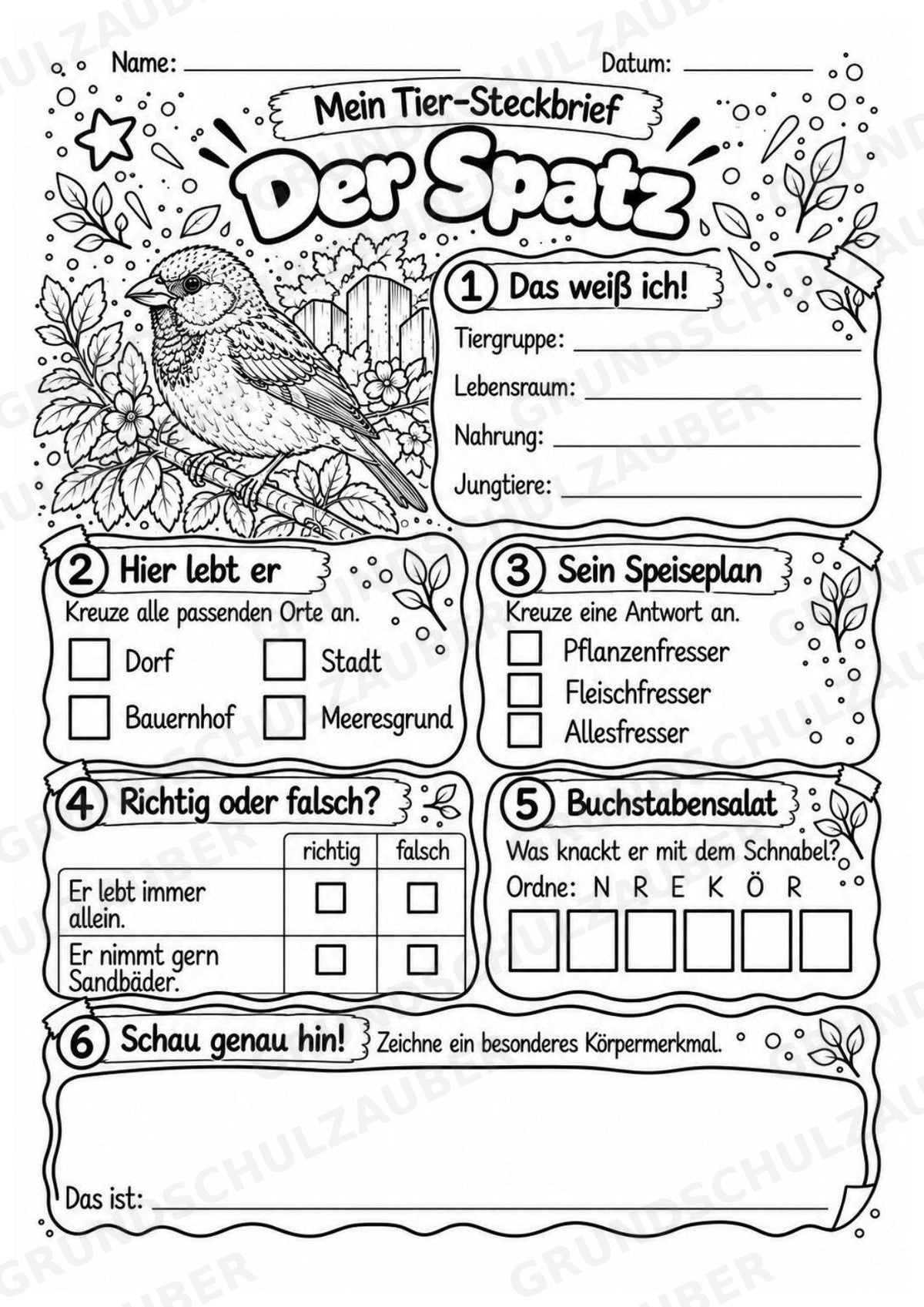 Spatz - Lesetext & Steckbrief | Sachunterricht Tiere Grundschule – Materialseite 4