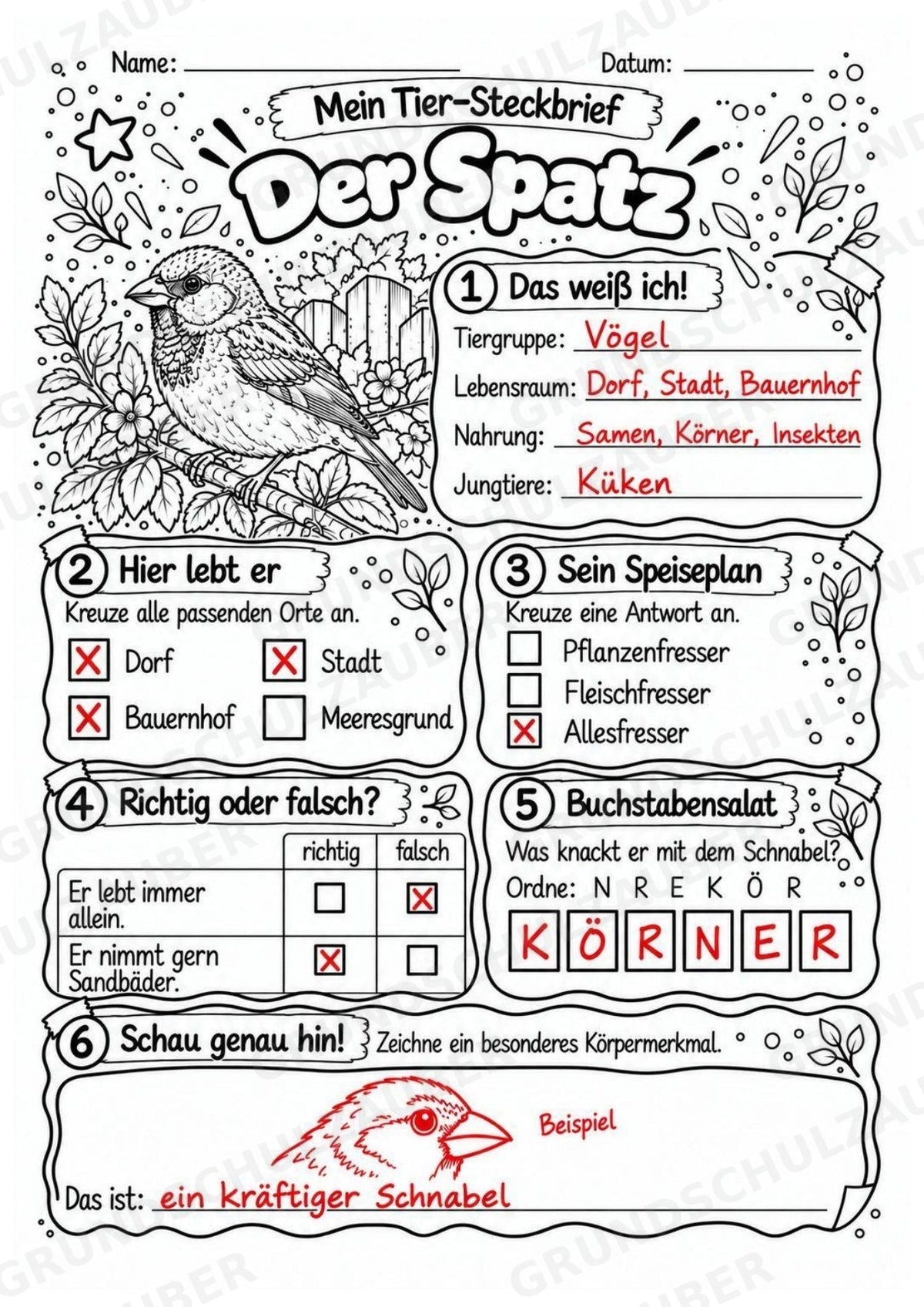 Spatz - Lesetext & Steckbrief | Sachunterricht Tiere Grundschule – Materialseite 5