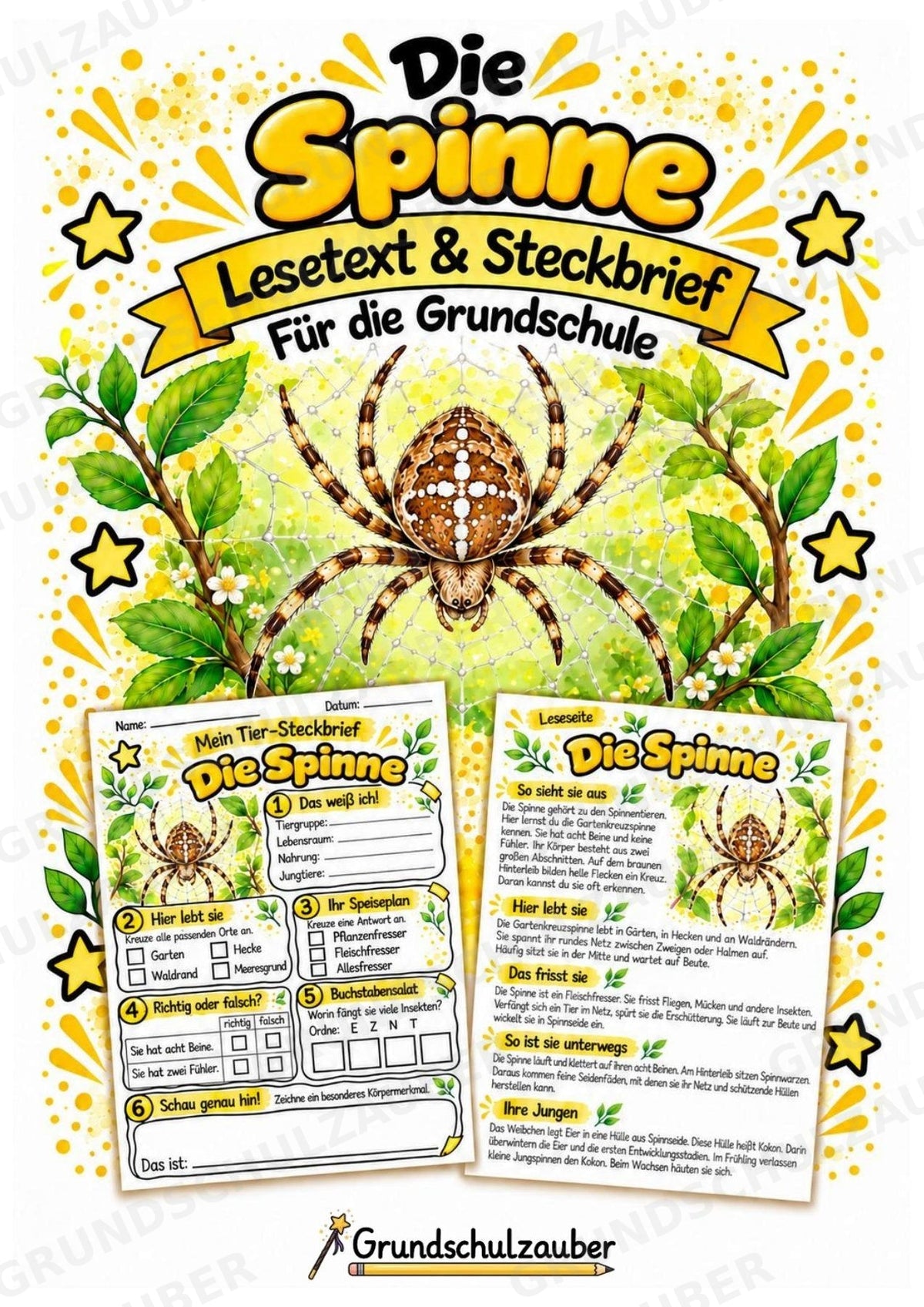 Spinne - Lesetext & Steckbrief | Sachunterricht Tiere Grundschule – Cover