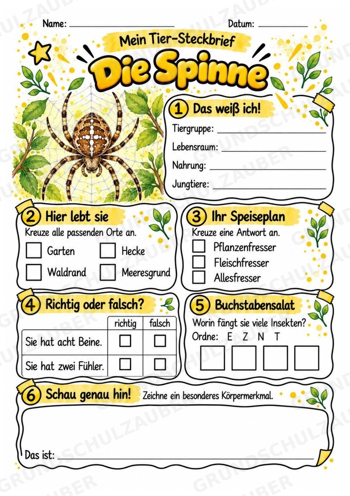 Spinne - Lesetext & Steckbrief | Sachunterricht Tiere Grundschule – Materialseite 3