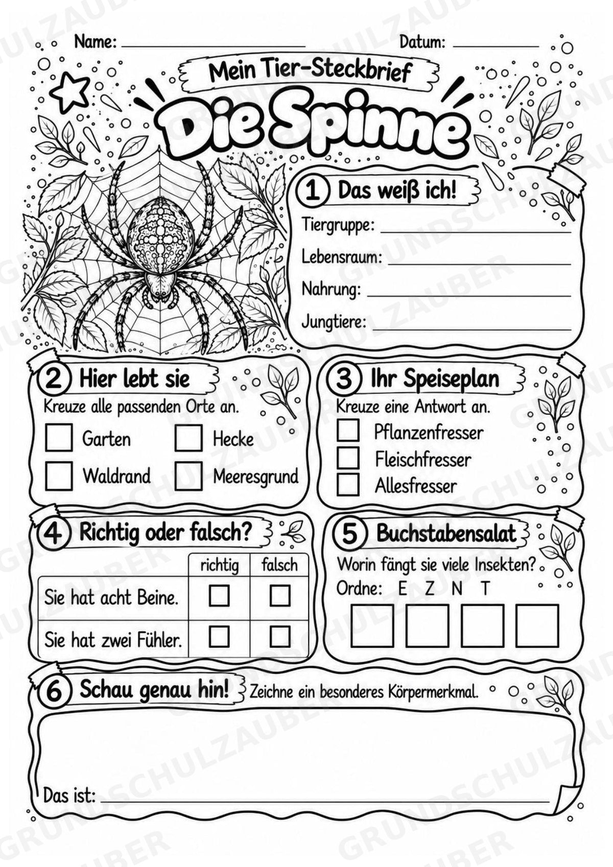 Spinne - Lesetext & Steckbrief | Sachunterricht Tiere Grundschule – Materialseite 4