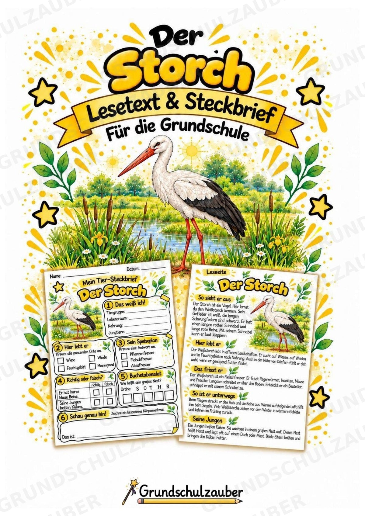 Storch - Lesetext & Steckbrief | Sachunterricht Tiere Grundschule – Cover