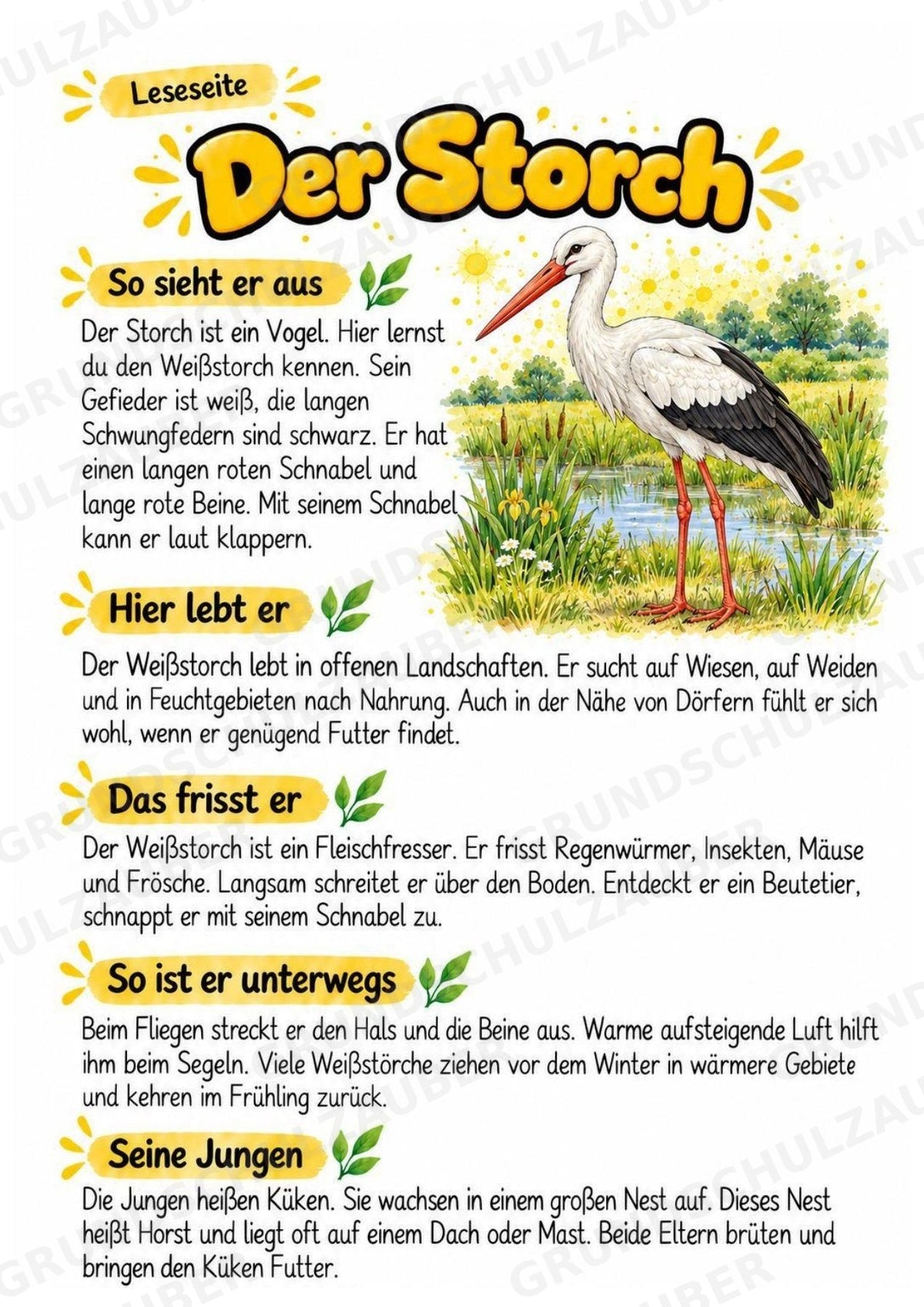 Storch - Lesetext & Steckbrief | Sachunterricht Tiere Grundschule – Materialseite 2