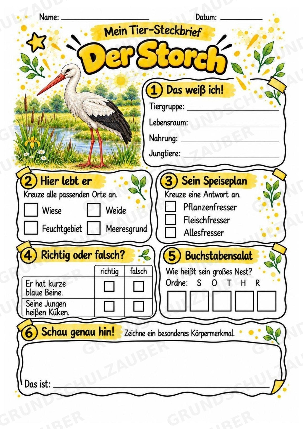 Storch - Lesetext & Steckbrief | Sachunterricht Tiere Grundschule – Materialseite 3