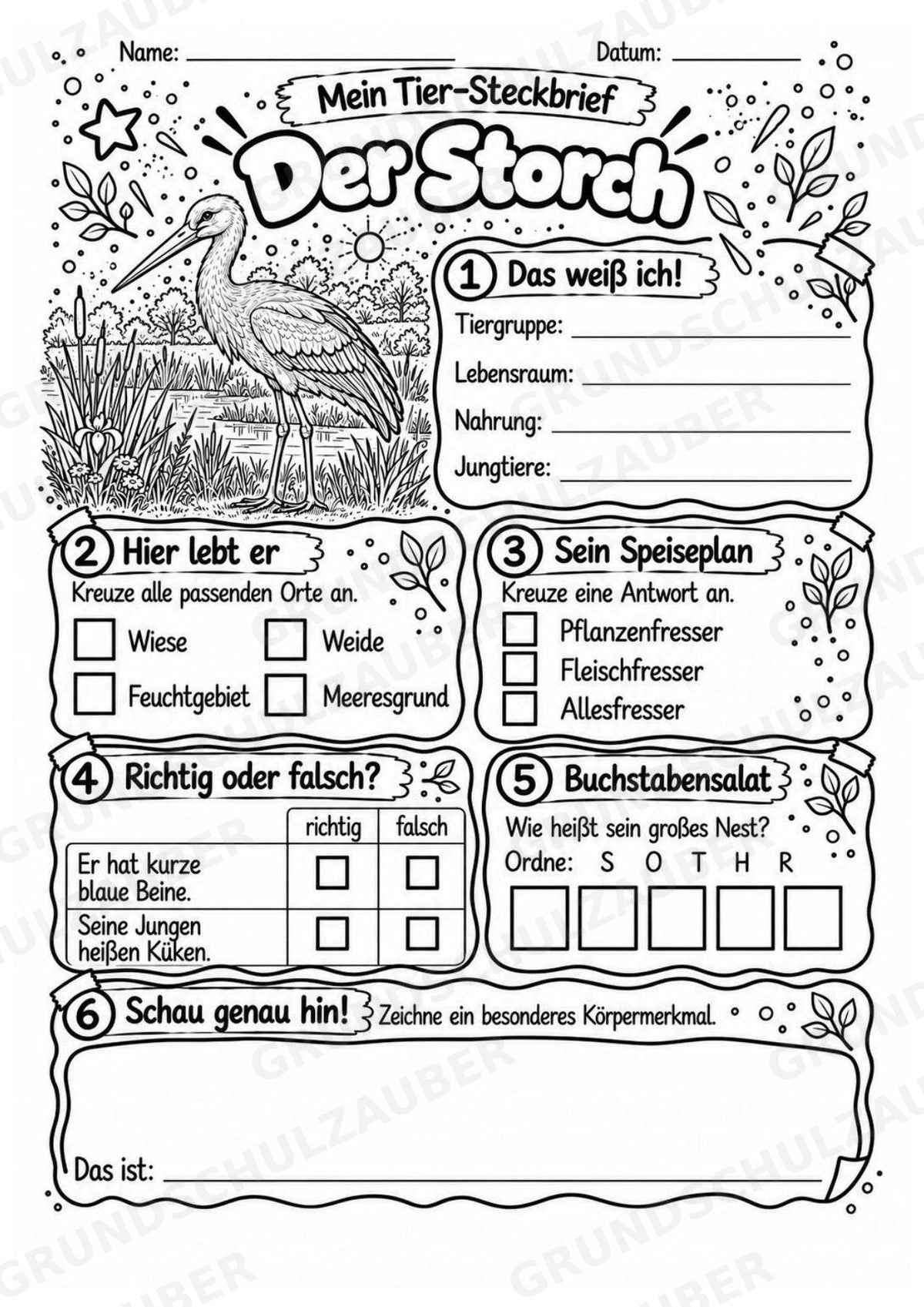 Storch - Lesetext & Steckbrief | Sachunterricht Tiere Grundschule – Materialseite 4