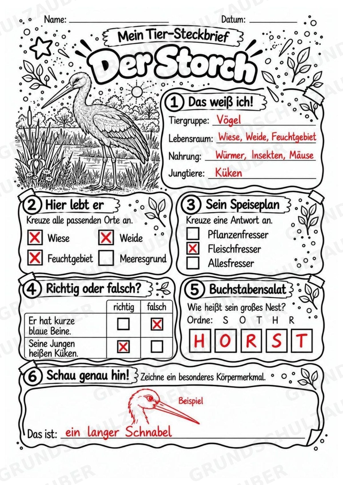 Storch - Lesetext & Steckbrief | Sachunterricht Tiere Grundschule – Materialseite 5
