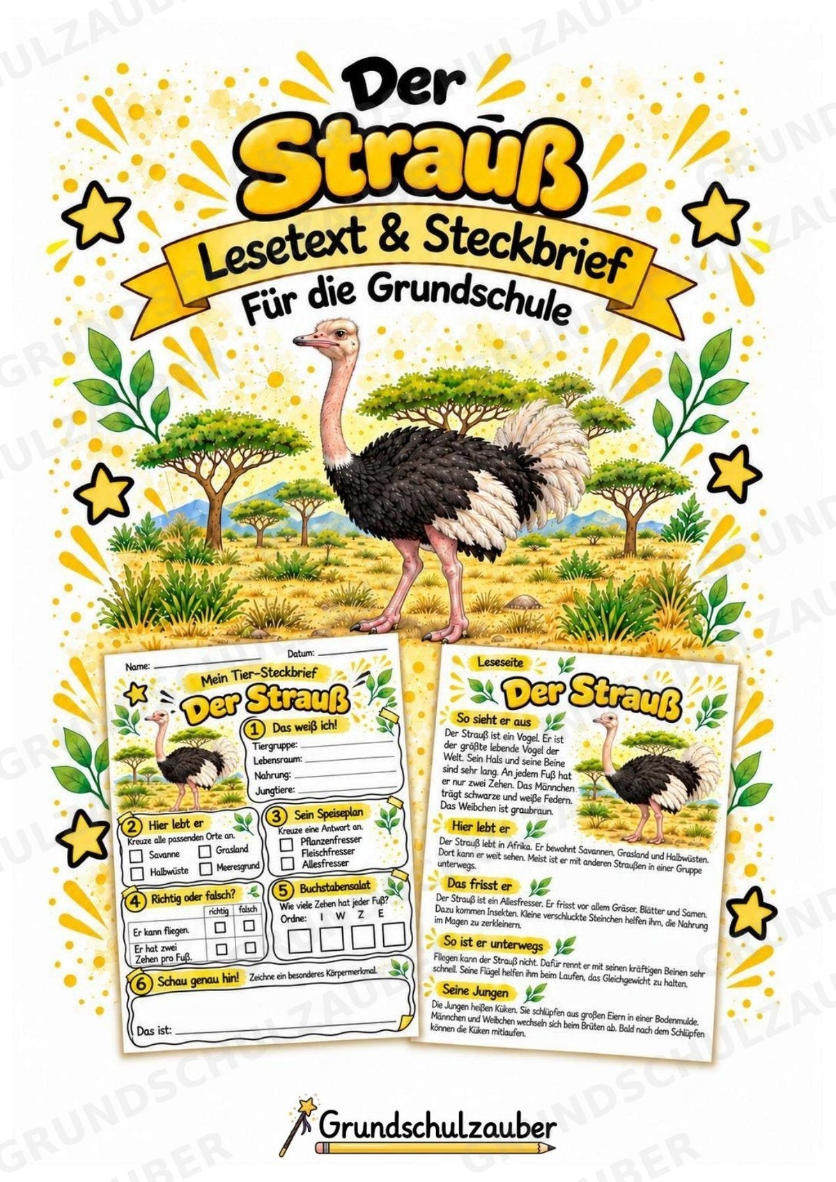 Strauß - Lesetext & Steckbrief | Sachunterricht Tiere Grundschule – Cover