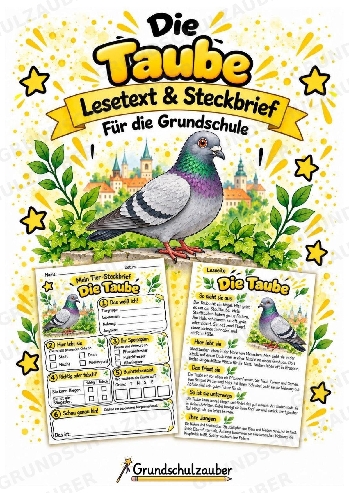 Taube - Lesetext & Steckbrief | Sachunterricht Tiere Grundschule – Cover