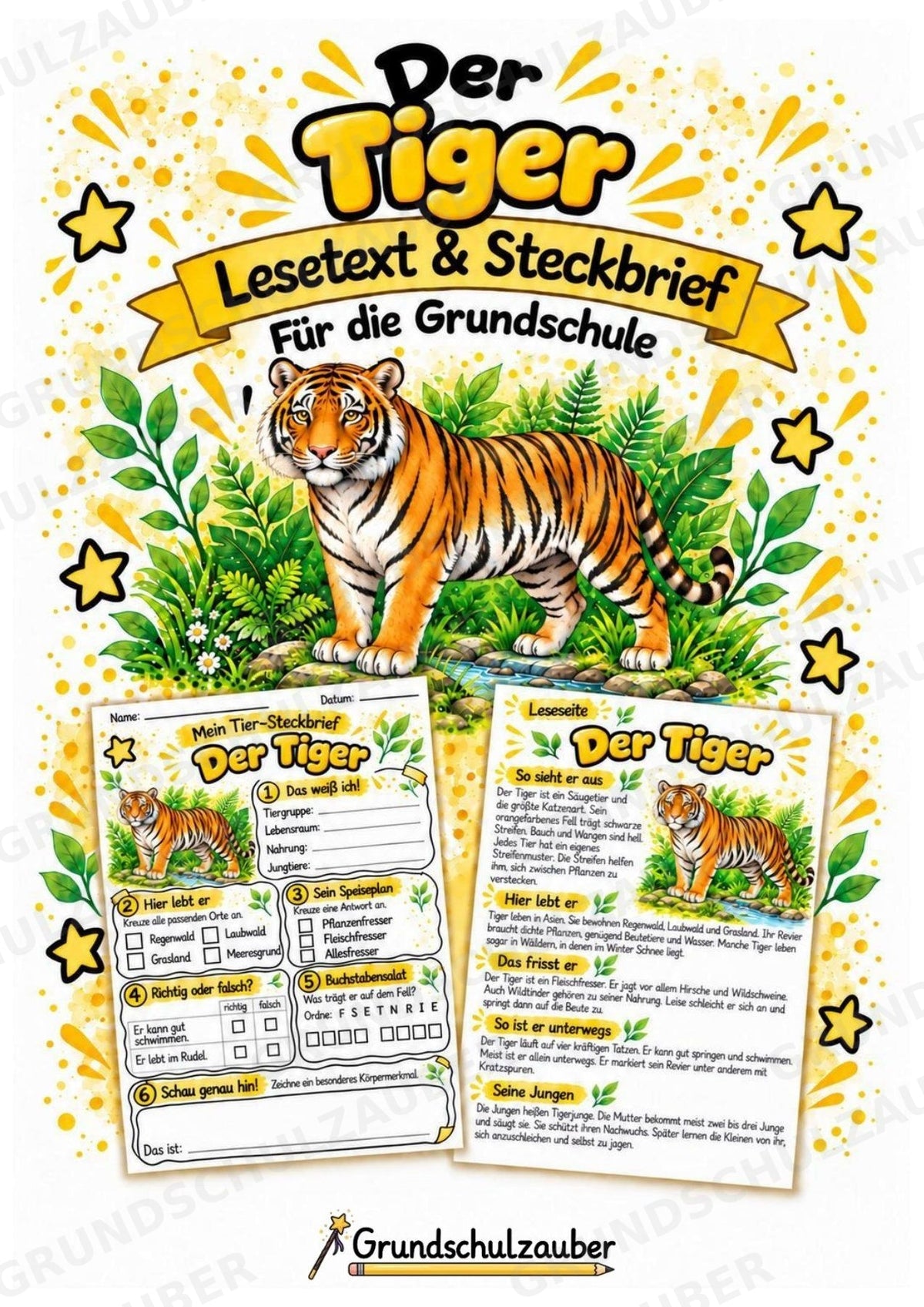 Tiger - Lesetext & Steckbrief | Sachunterricht Tiere Grundschule – Cover
