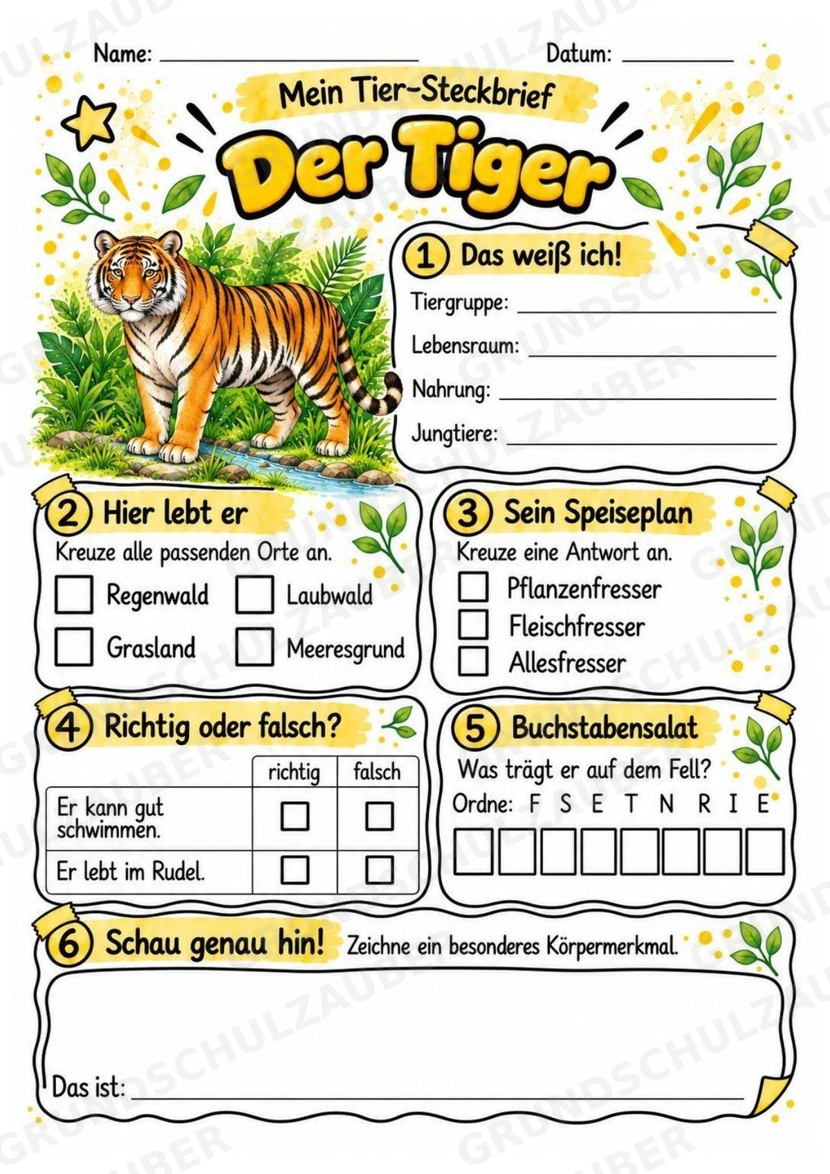 Tiger - Lesetext & Steckbrief | Sachunterricht Tiere Grundschule – Materialseite 3