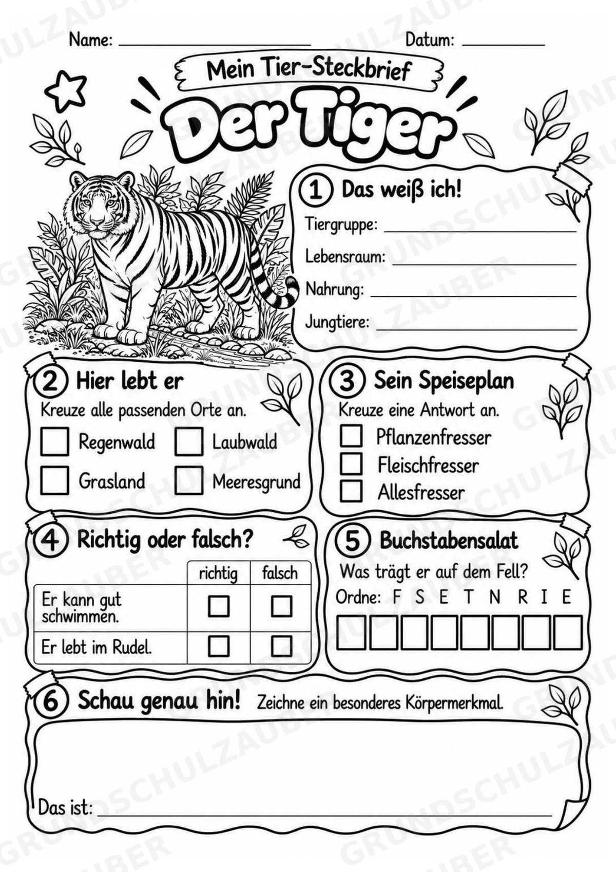 Tiger - Lesetext & Steckbrief | Sachunterricht Tiere Grundschule – Materialseite 4