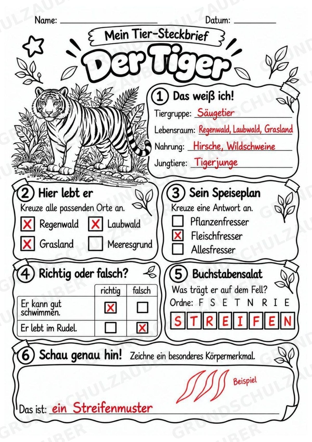 Tiger - Lesetext & Steckbrief | Sachunterricht Tiere Grundschule – Materialseite 5