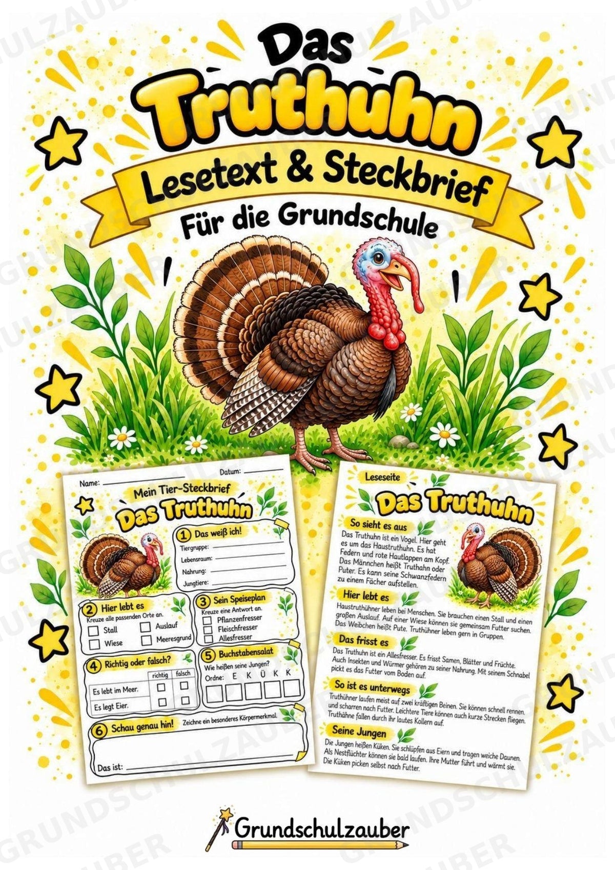 Truthuhn - Lesetext & Steckbrief | Sachunterricht Tiere Grundschule – Cover