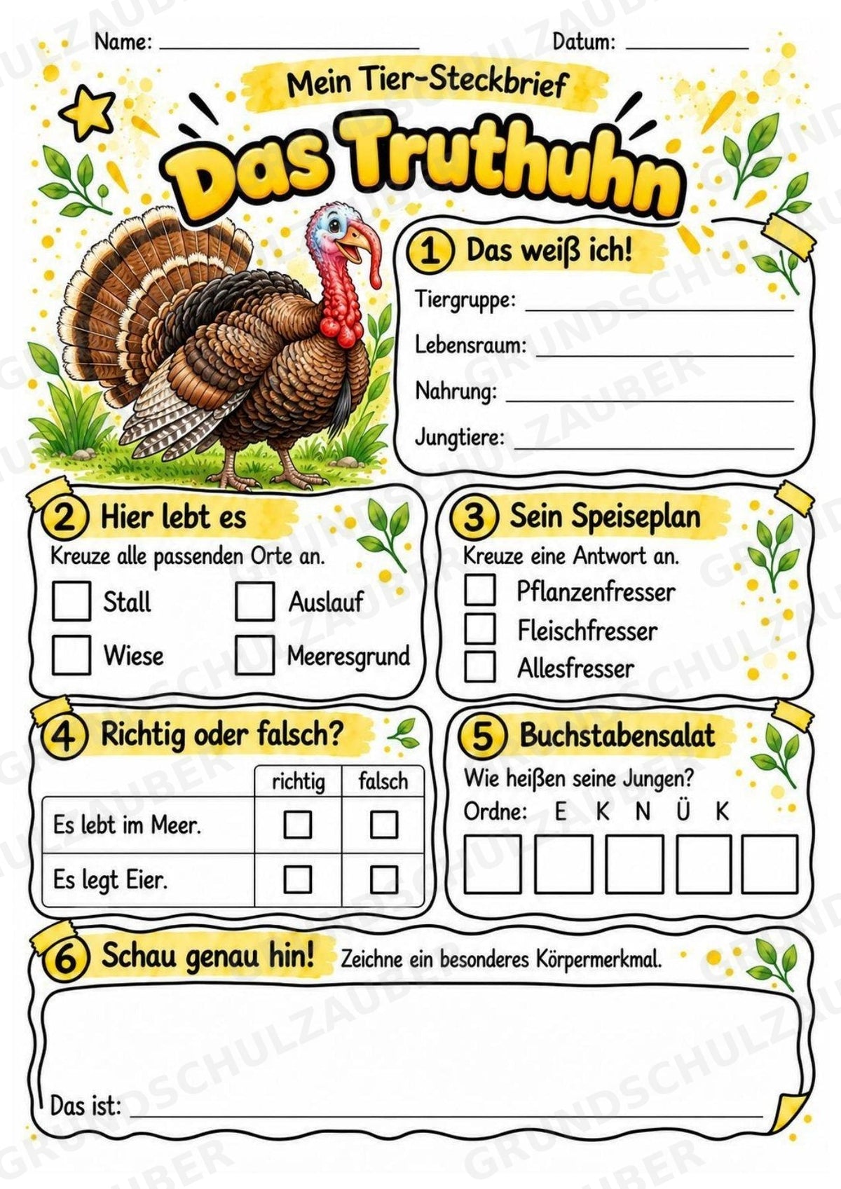 Truthuhn - Lesetext & Steckbrief | Sachunterricht Tiere Grundschule – Materialseite 3