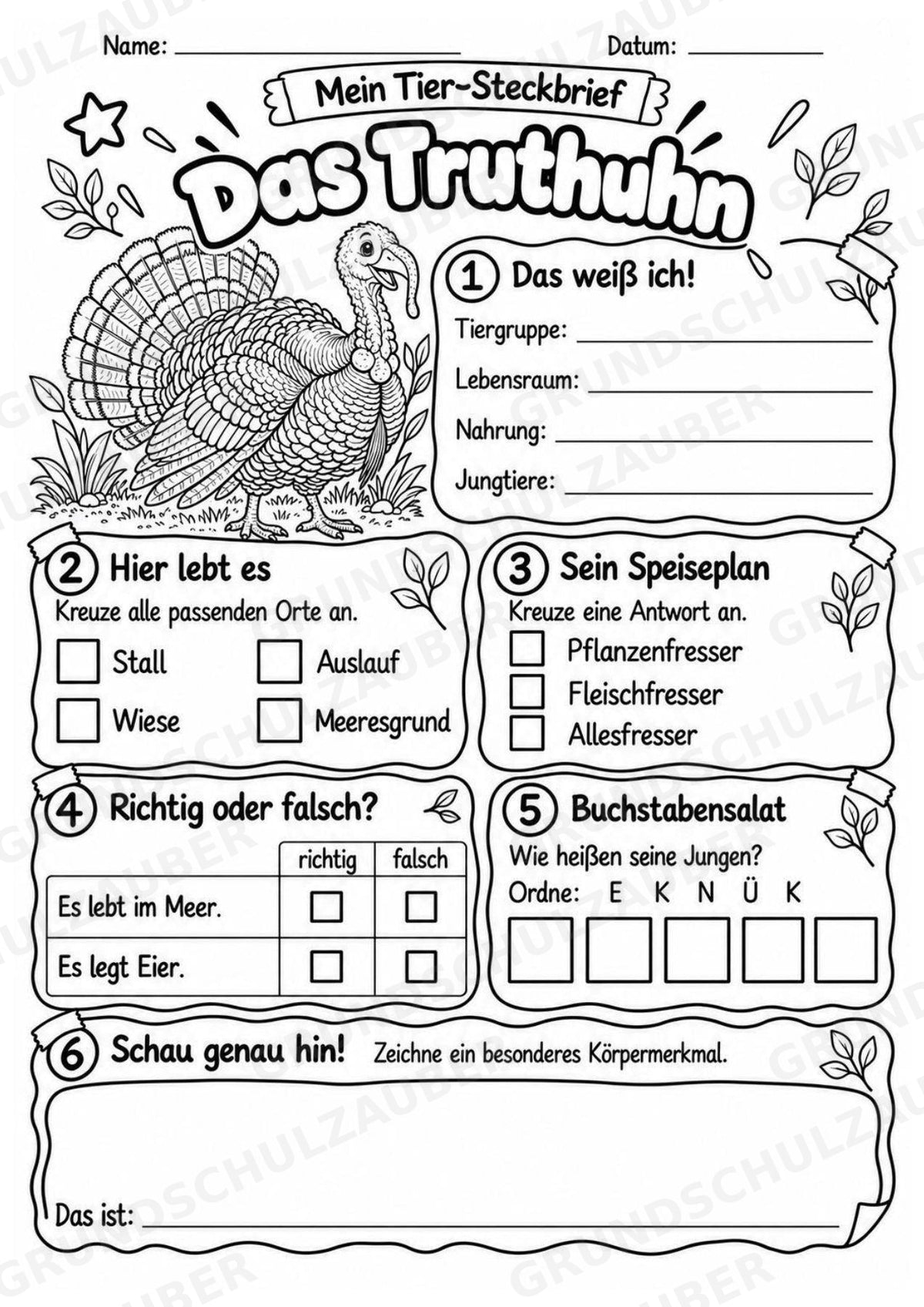Truthuhn - Lesetext & Steckbrief | Sachunterricht Tiere Grundschule – Materialseite 4