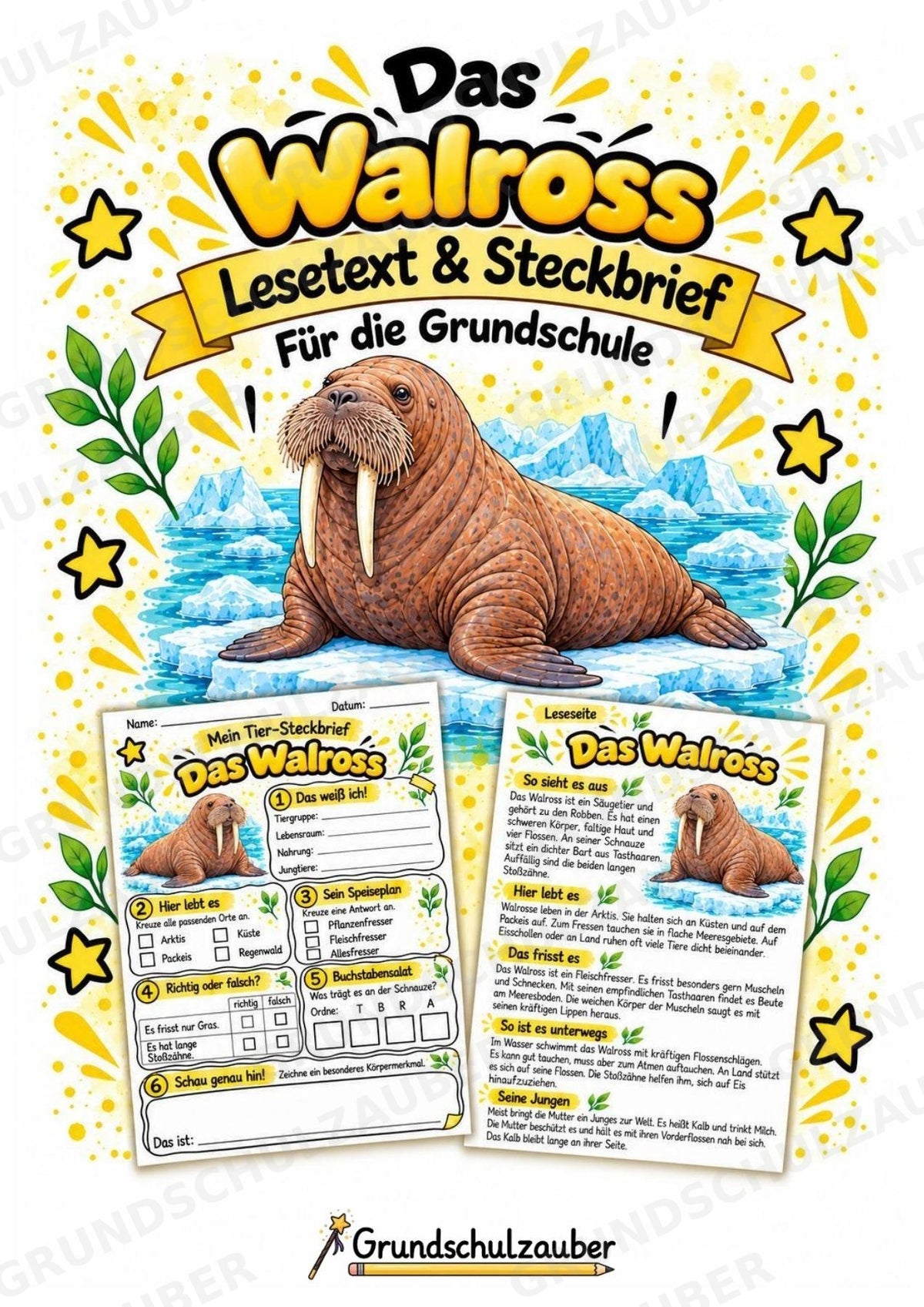 Walross - Lesetext & Steckbrief | Sachunterricht Tiere Grundschule – Cover