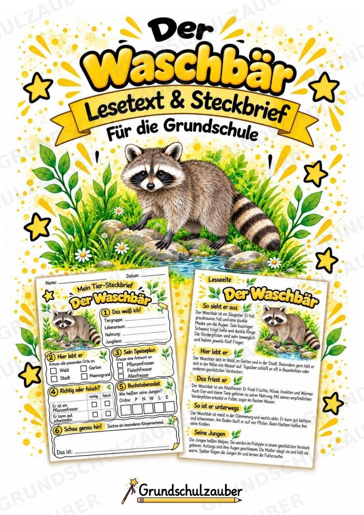 Waschbär - Lesetext & Steckbrief | Sachunterricht Tiere Grundschule – Cover