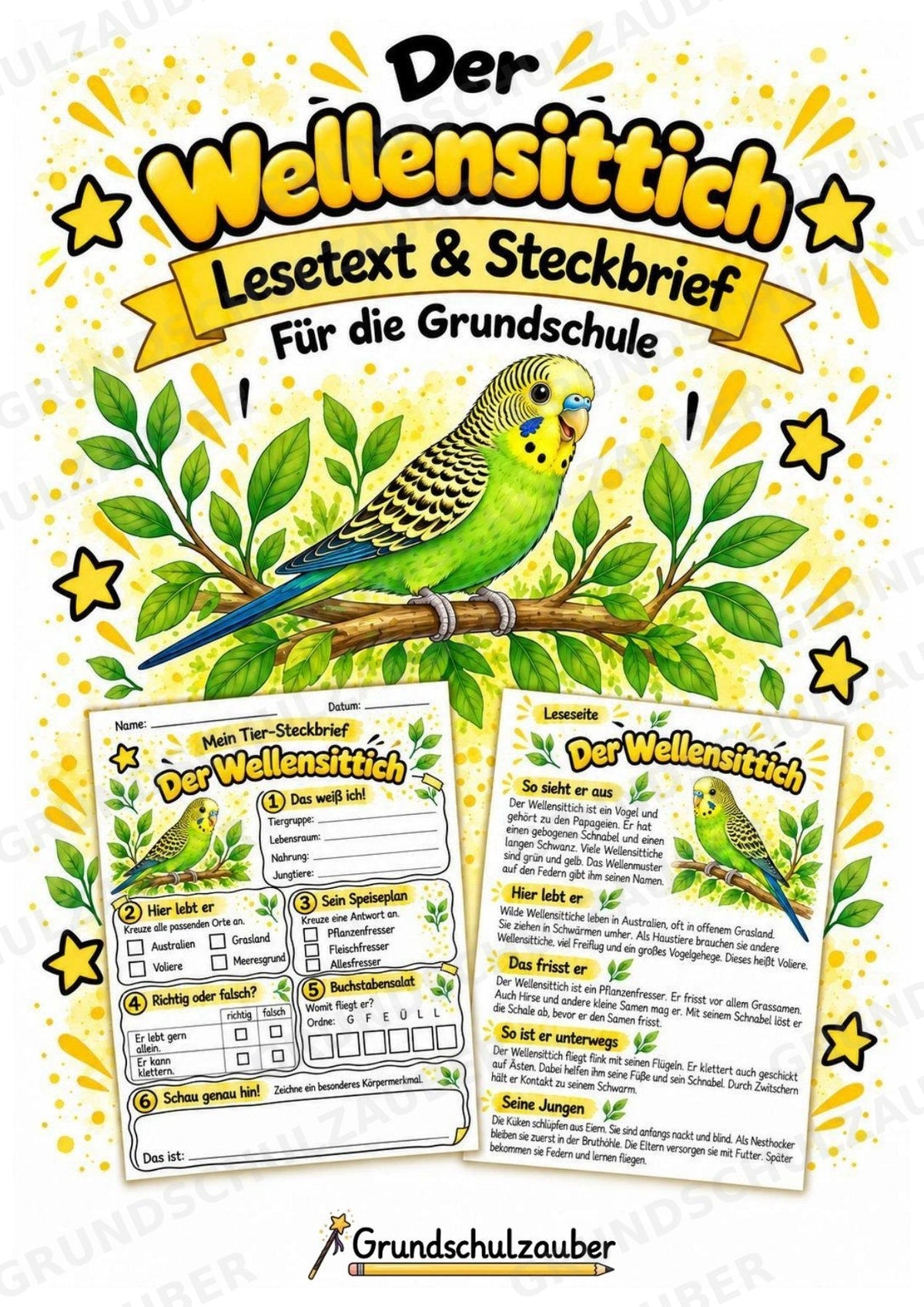 Wellensittich - Lesetext & Steckbrief | Sachunterricht Tiere Grundschule – Cover