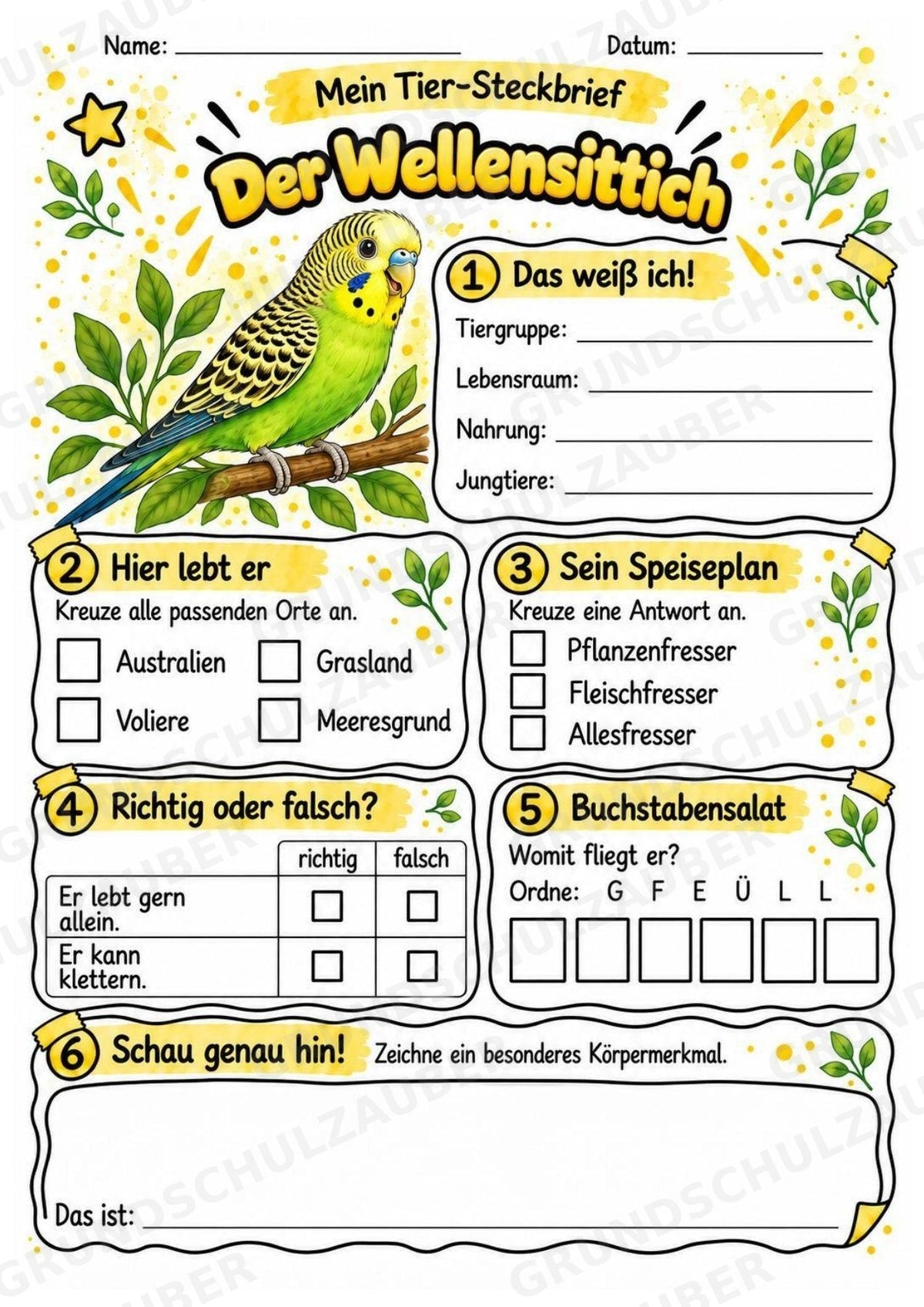 Wellensittich - Lesetext & Steckbrief | Sachunterricht Tiere Grundschule – Materialseite 3