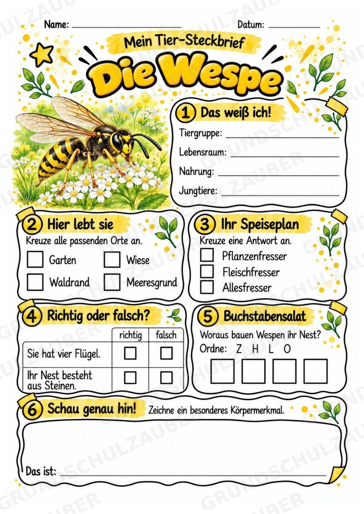 Wespe - Lesetext & Steckbrief | Sachunterricht Tiere Grundschule – Materialseite 3