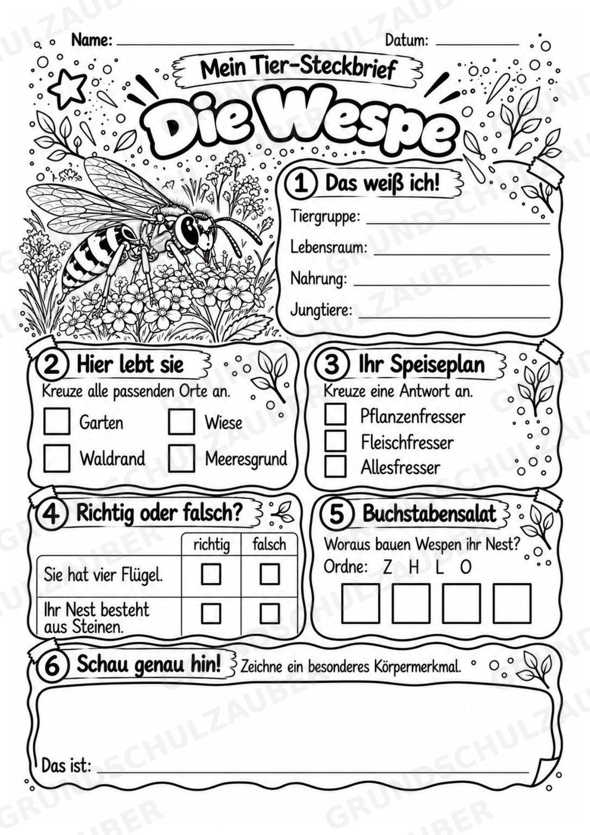 Wespe - Lesetext & Steckbrief | Sachunterricht Tiere Grundschule – Materialseite 4