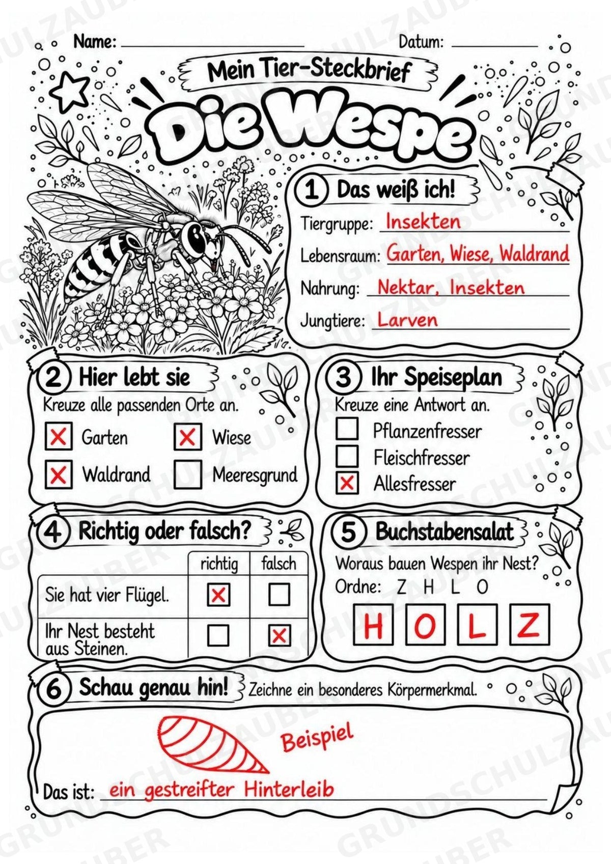 Wespe - Lesetext & Steckbrief | Sachunterricht Tiere Grundschule – Materialseite 5
