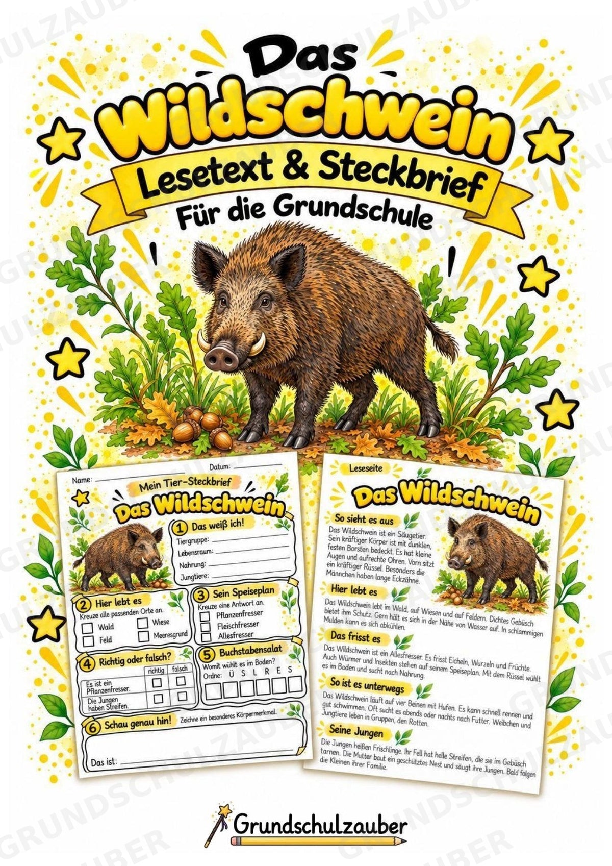 Wildschwein - Lesetext & Steckbrief | Sachunterricht Tiere Grundschule – Cover